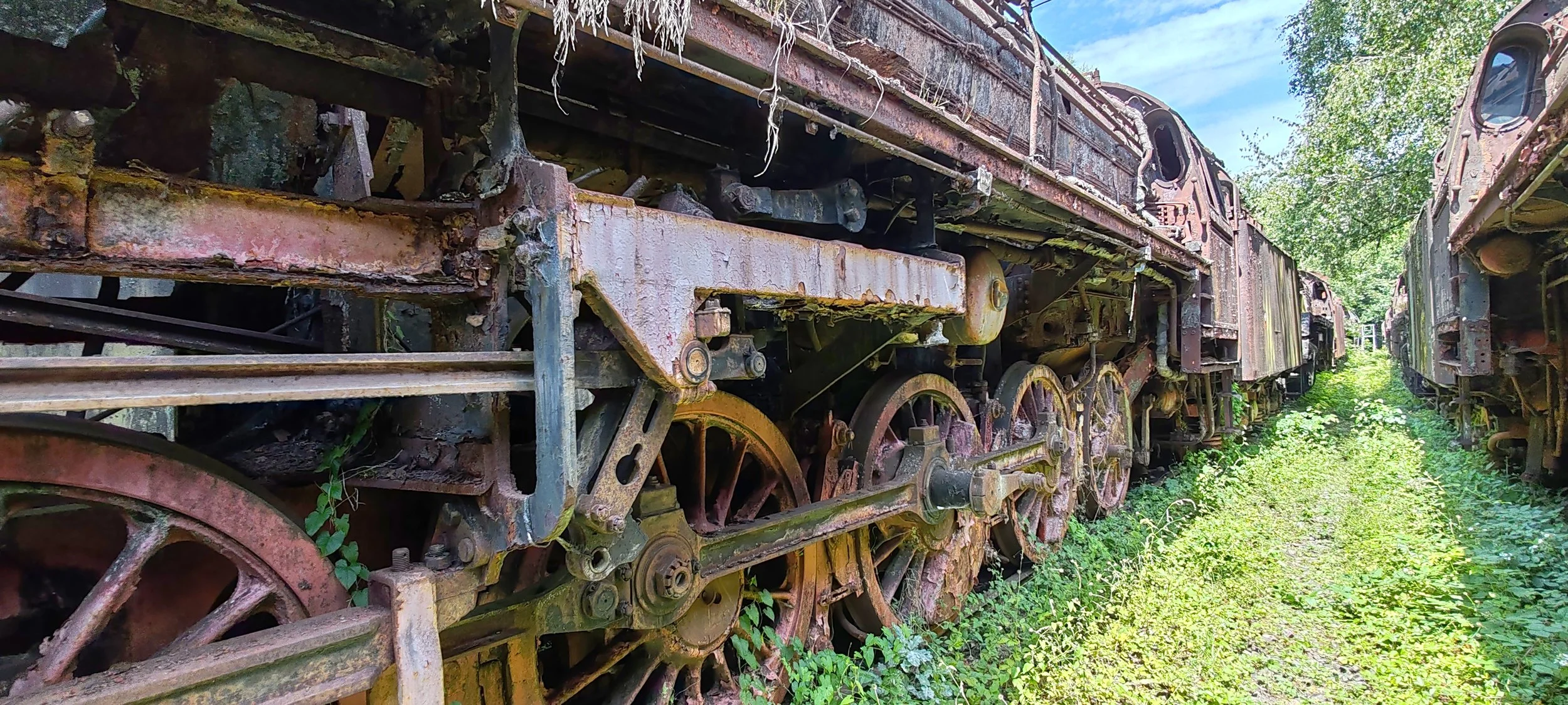 Verrostete alte Dampflokomotive im Freien, umgeben von Pflanzen und Bäumen unter einem blauen Himmel.