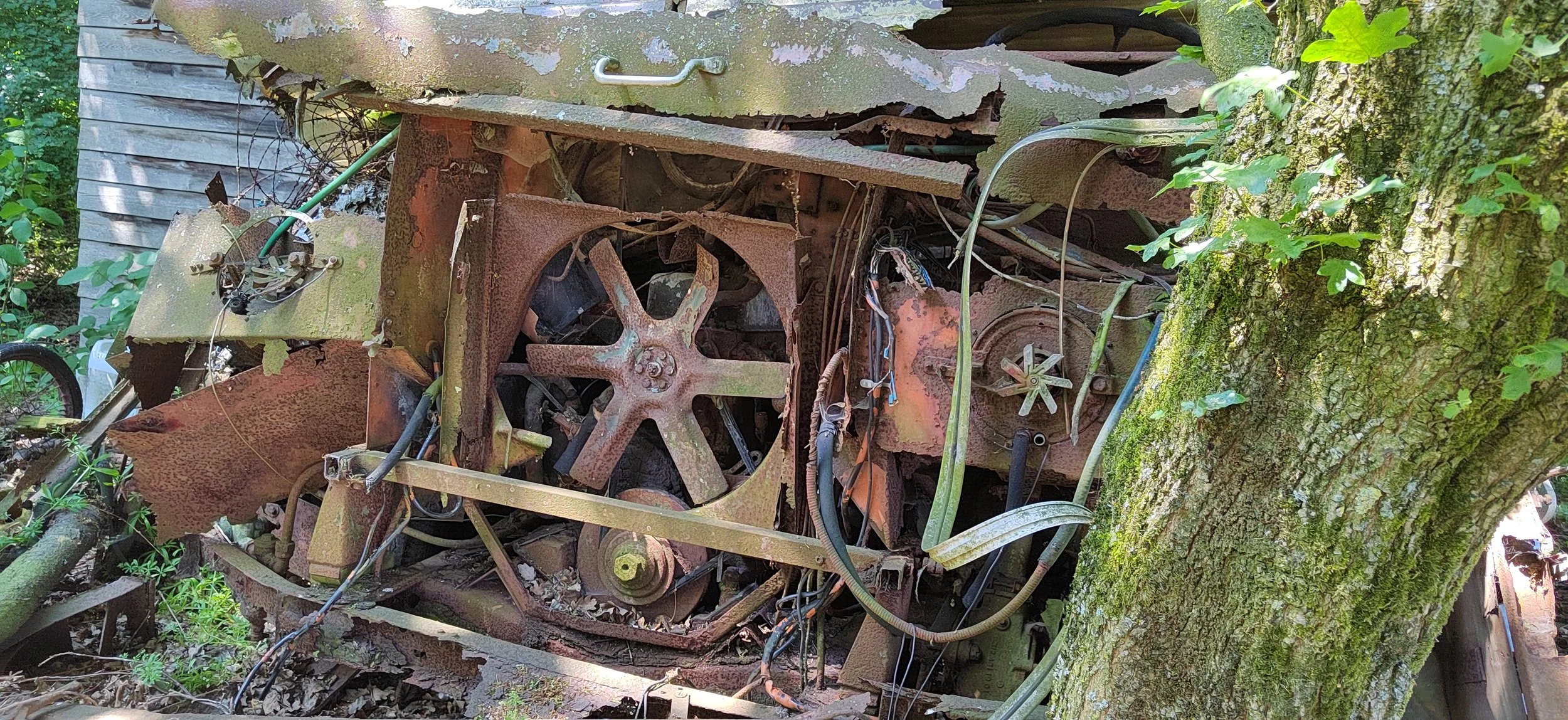 Verrostetes, verlassenes Fahrzeug in einem Wald, umgeben von Bäumen und Blättern.