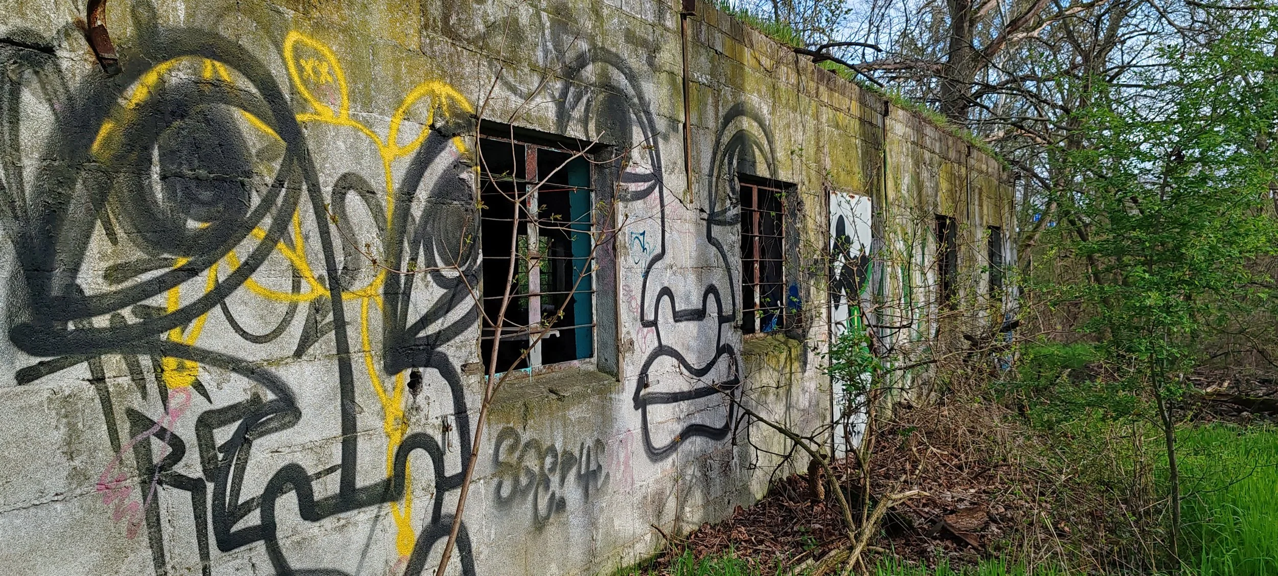 Verfallene Gebäude mit Graffiti an den Wänden, von Pflanzen und Bäumen umgeben.