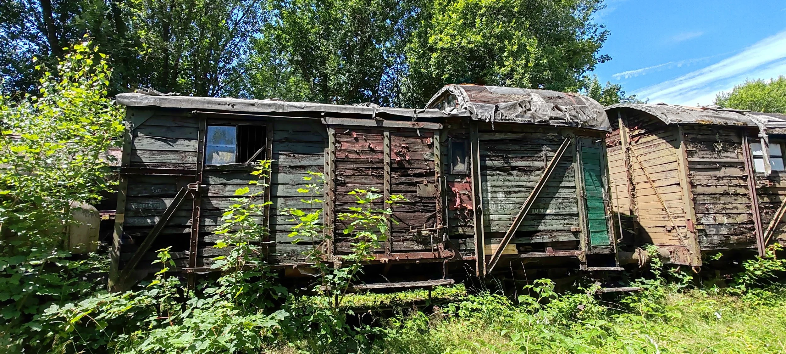 Verfallenes, verrostetes Eisenbahnwagon im Grünen mit Büschen und Bäumen im Hintergrund und blauem Himmel darüber.