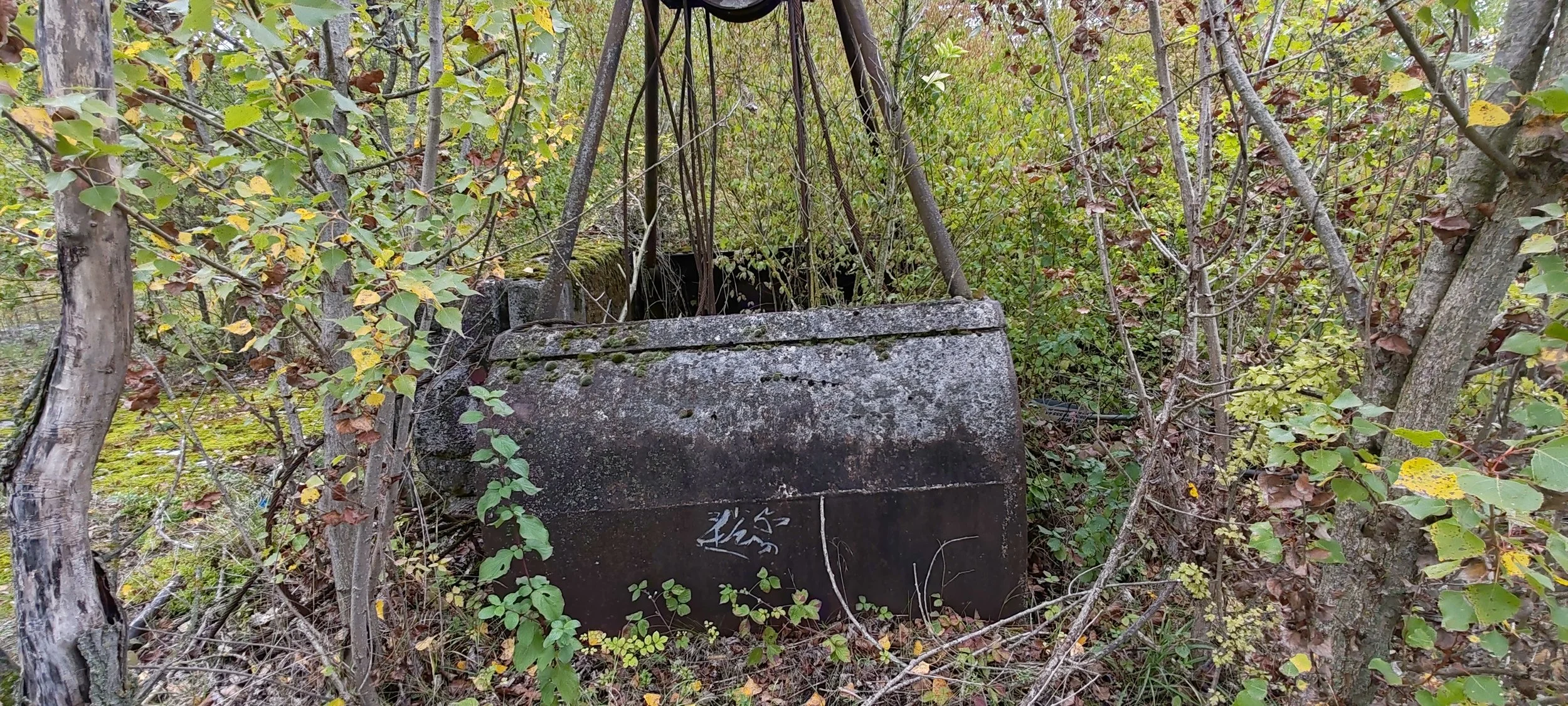 Verfallene, verrostete Stahlkessel im dichten Buschwerk, umgeben von Bäumen und grünen Blättern, im Freien.