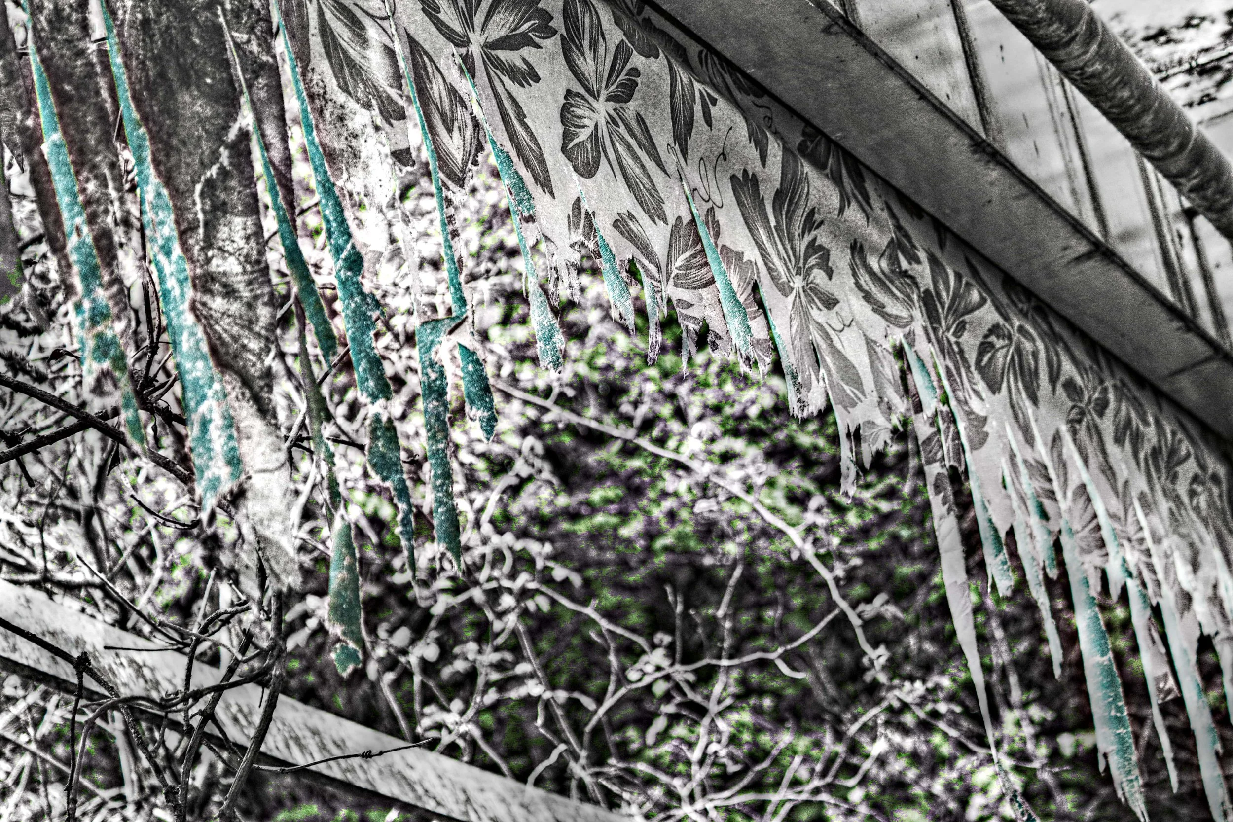 Verwitterte und beschädigte Tapete an der Wand, mit Blumendekor, neben einem Fensterrahmen, umgeben von vertrockneten Zweigen und Pflanzen, im Freien.