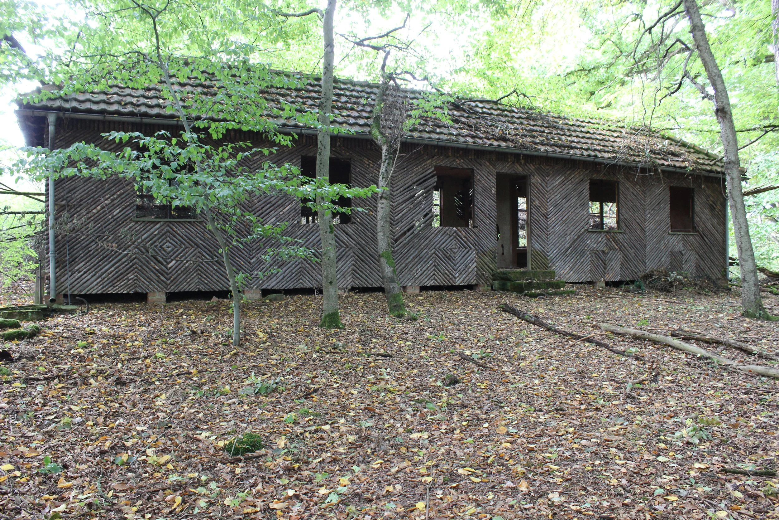 Verfallenes Holzhaus im Wald, umgeben von Bäumen, mit offenem Eingang und mehreren Fenstern.