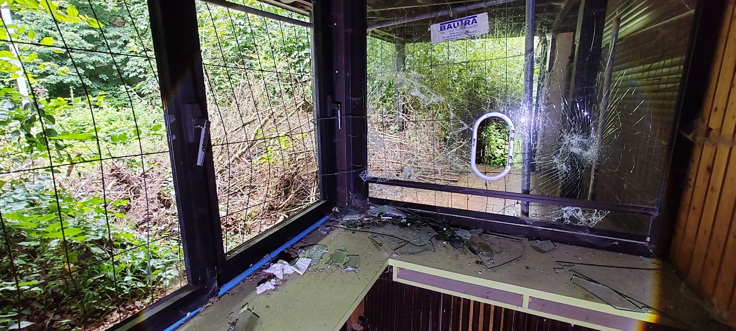 Ein zerbrochenes Sicherheitsfenster mit Spinnweben und Glasscherben auf der Fensterbank, umgeben von dichten Büschen und Bäumen im Freien.