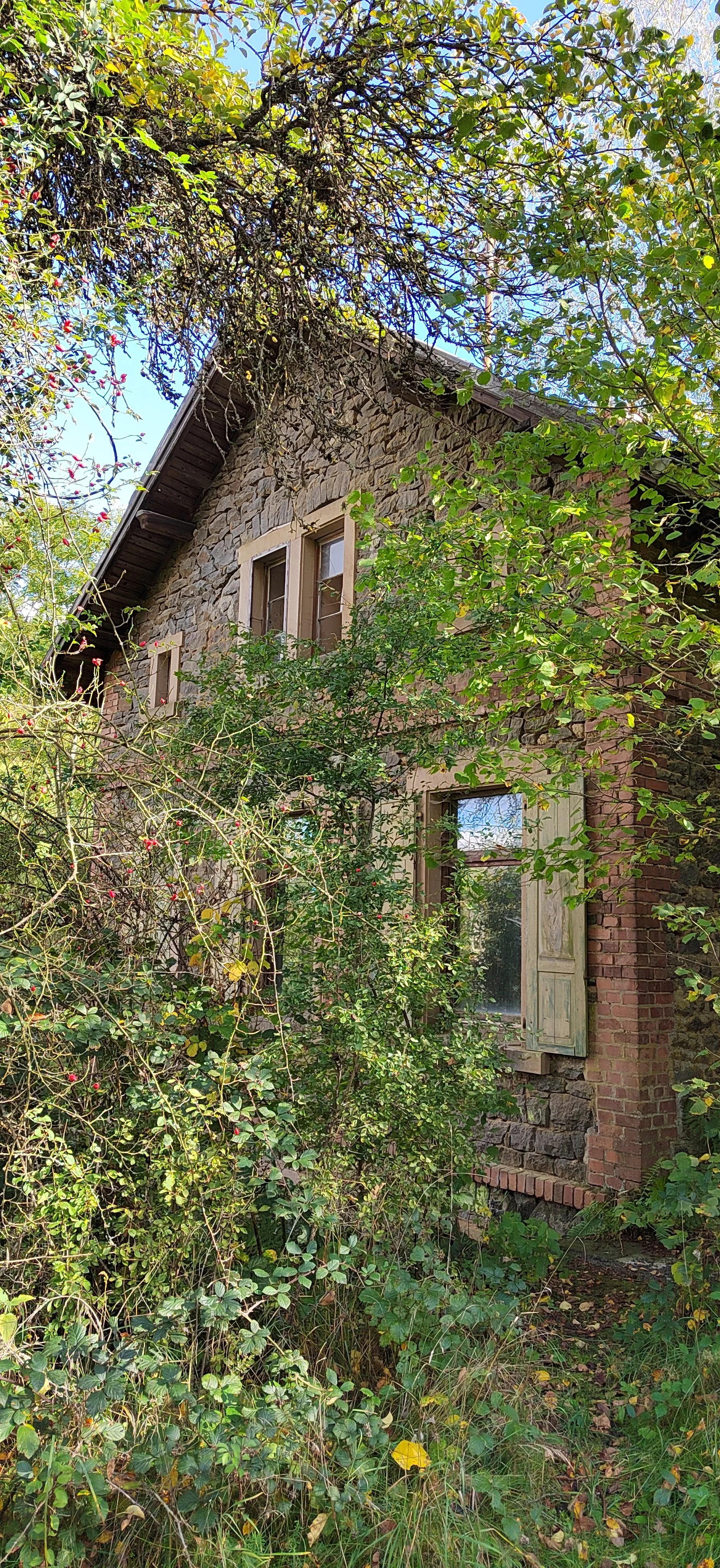 Ein altes, verfallenes Haus aus Backstein und Naturstein, umgeben von dichten Büschen und Bäumen.