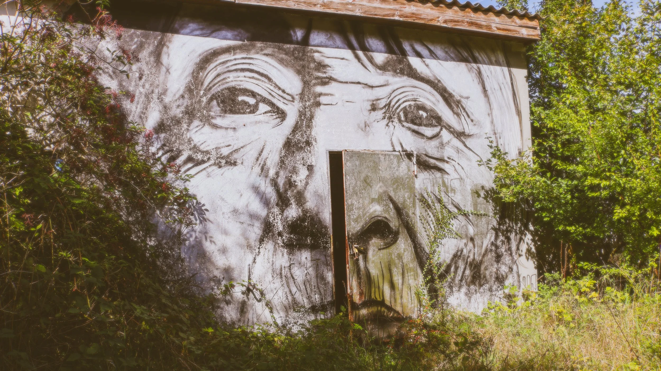 Graffiti eines menschlichen Gesichts auf einer Wand, umgeben von Bäumen und Pflanzen.