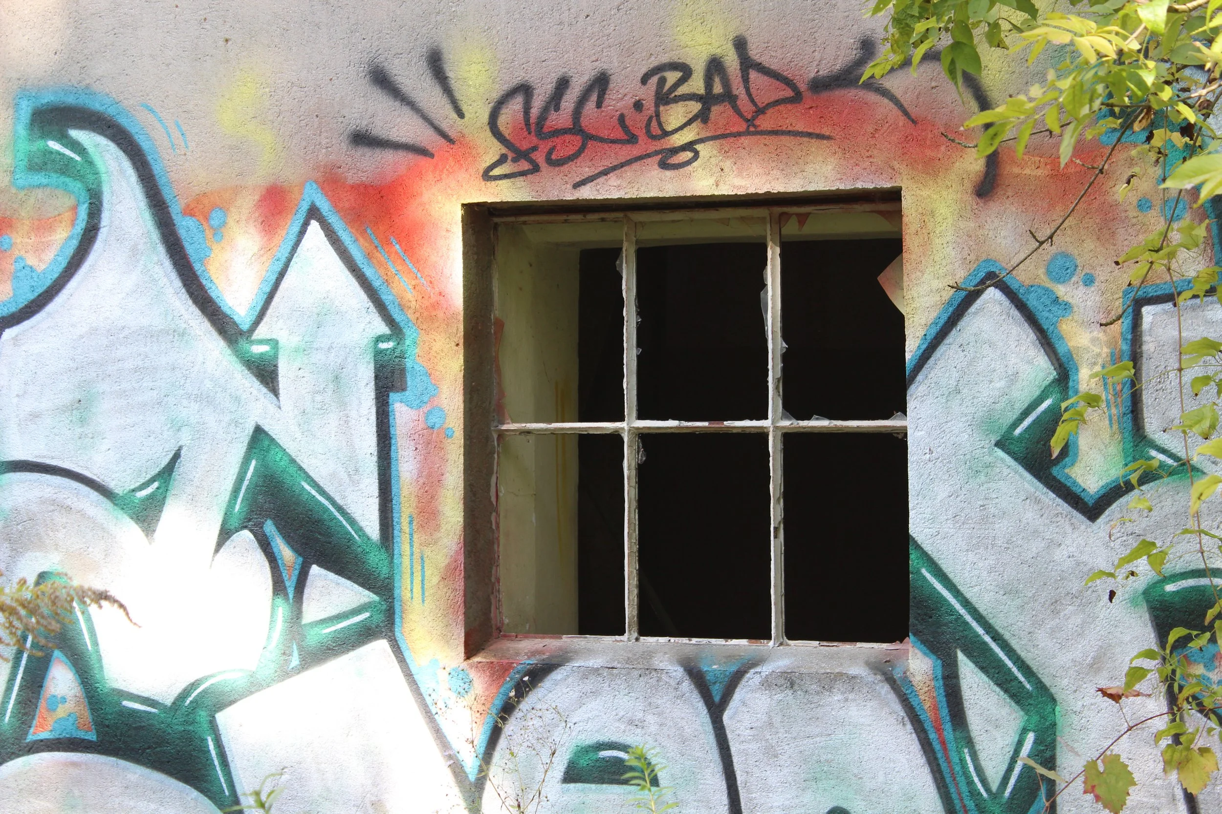 Ein Fenster in einer alten, mit Graffiti bemalten Wand, umgeben von grünem Laub.