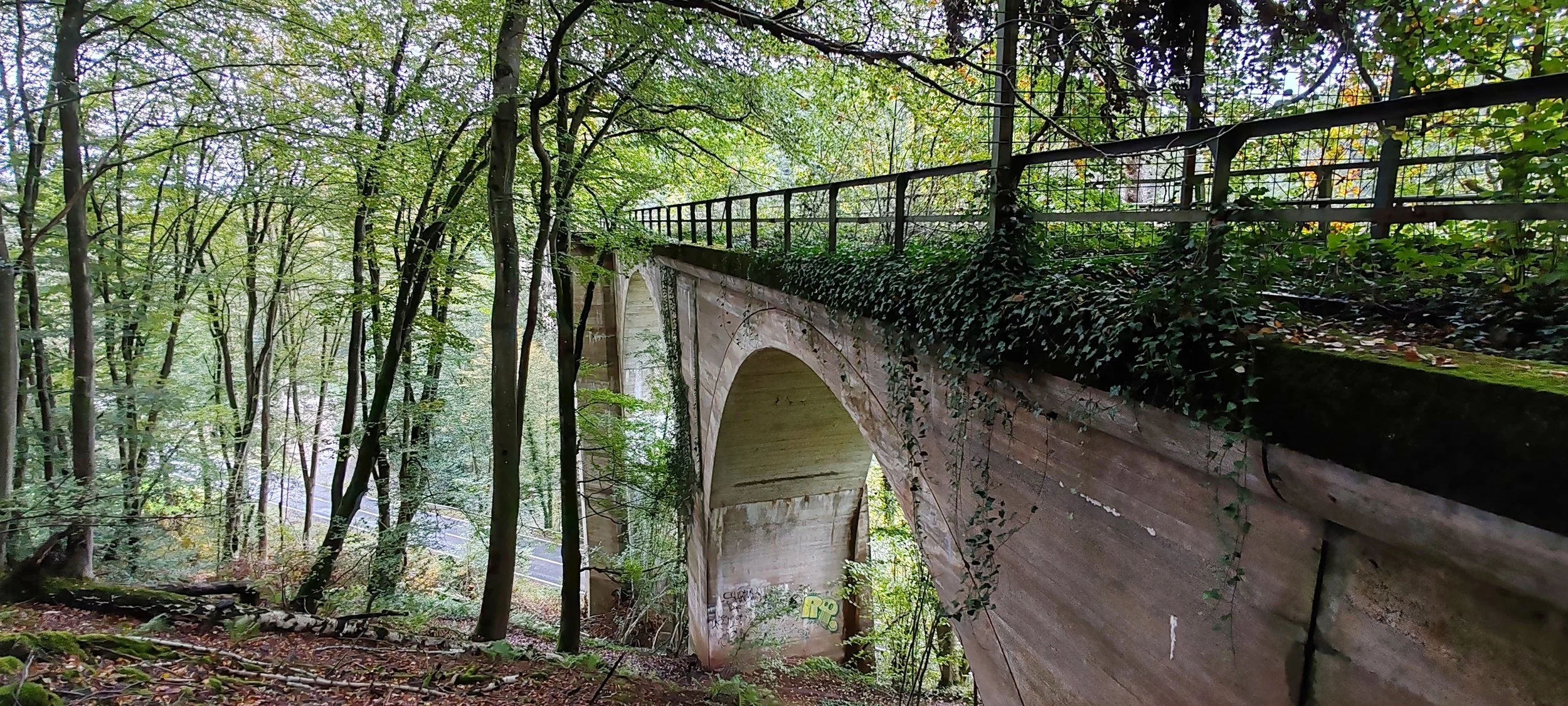 Ein steinerne Eisenbahnbrücke im Wald, umgeben von Bäumen mit grünem Laub, mit einem Metallzaun oben auf der Brücke und Graffiti an der Brückenwand.