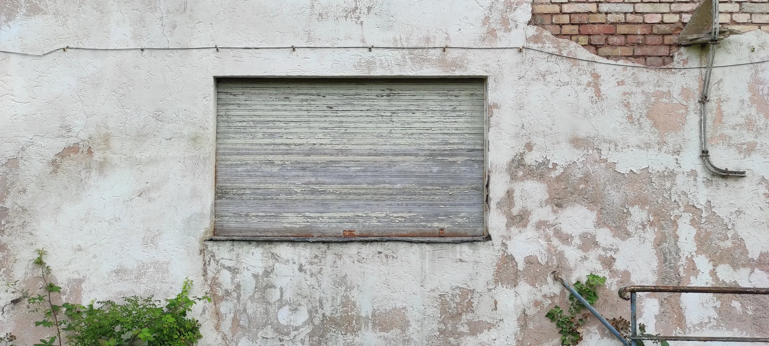 Verwitterte Hauswand mit geschlossenem Fensterladen, einige Pflanzen wachsen am unteren Rand.