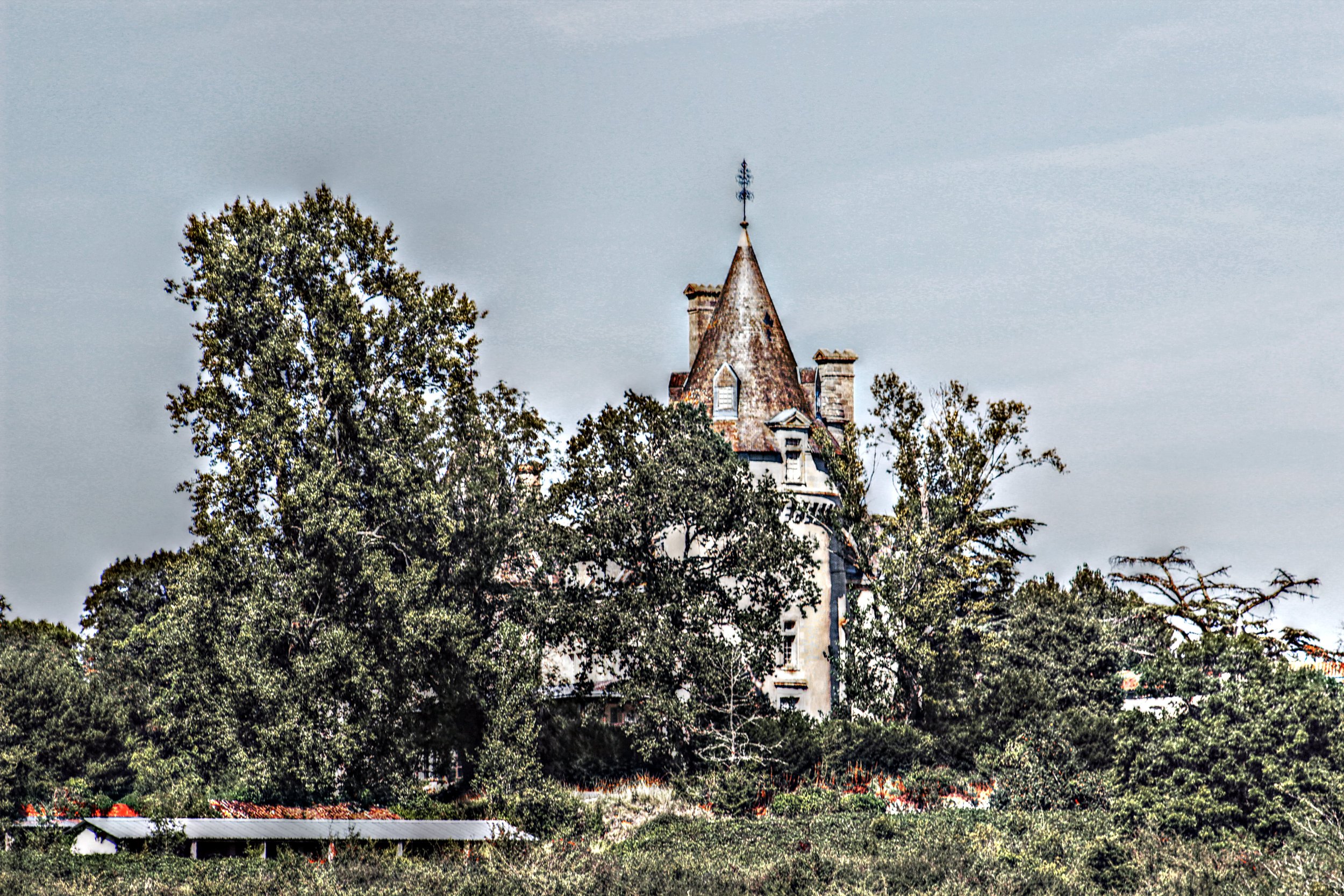 Historisches Schloss mit spitzen Türmen, umgeben von Bäumen, bei bewölktem Himmel.
