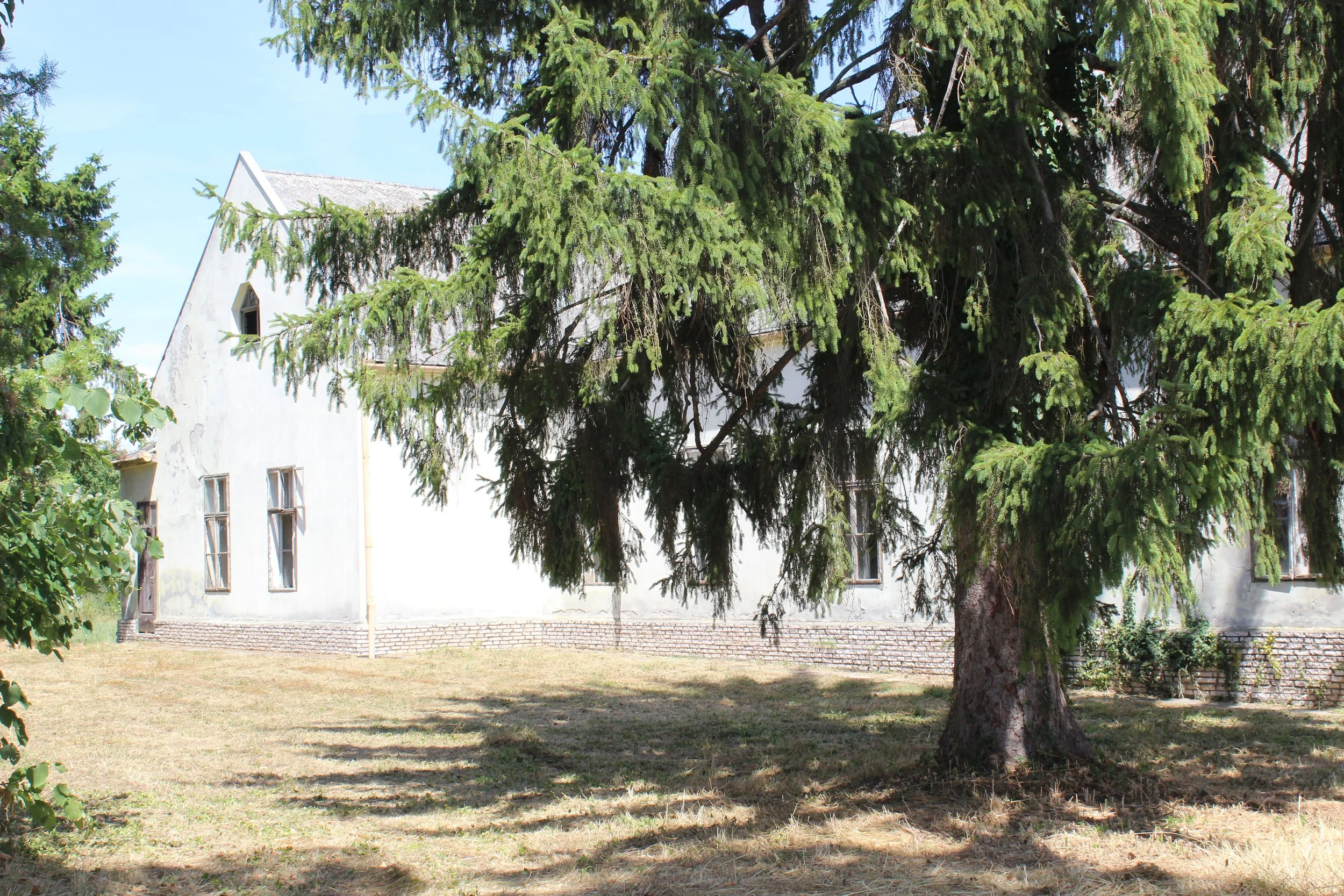 Alter weißer Bauernhof mit hohem Giebel, halb verfallene Fenster, im Vordergrund große Tanne, sonniger Tag, schattige Stellen auf dem Boden