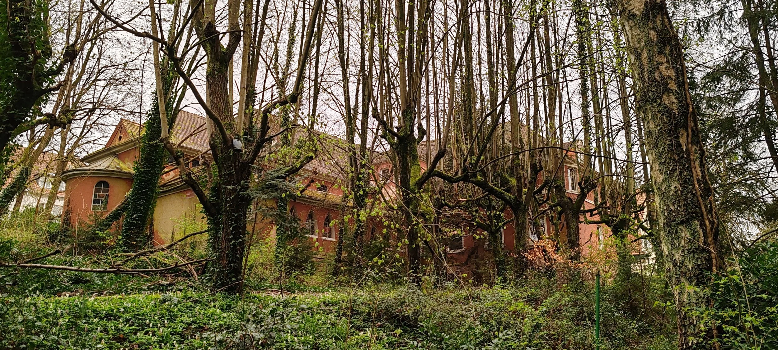 Ein Haus versteckt sich hinter Bäumen und Sträuchern in einem Waldgebiet
