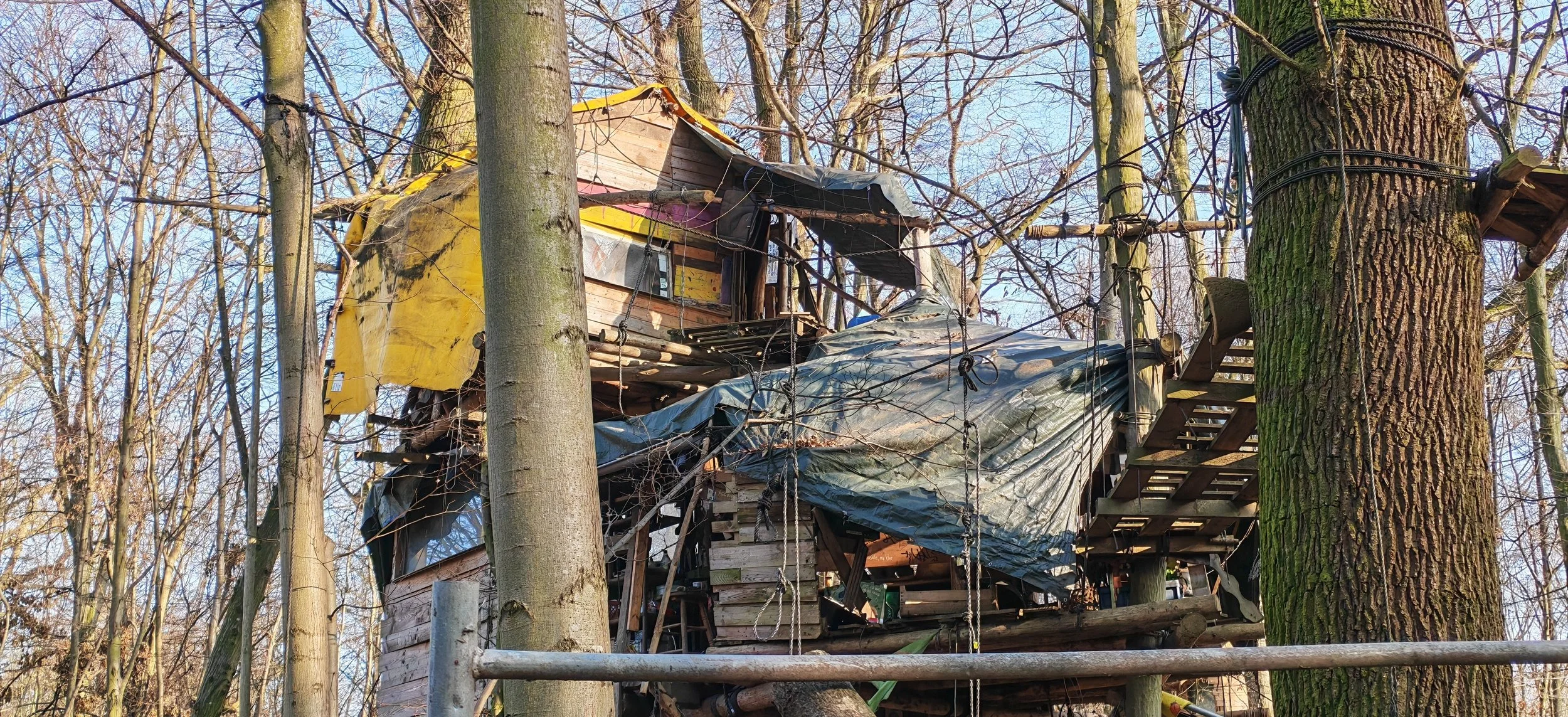 Ein improvisiertes Baumhaus in einem Wald, gebaut mit Holzplatten, Planen und Seilen, umgeben von Bäumen ohne Blätter.