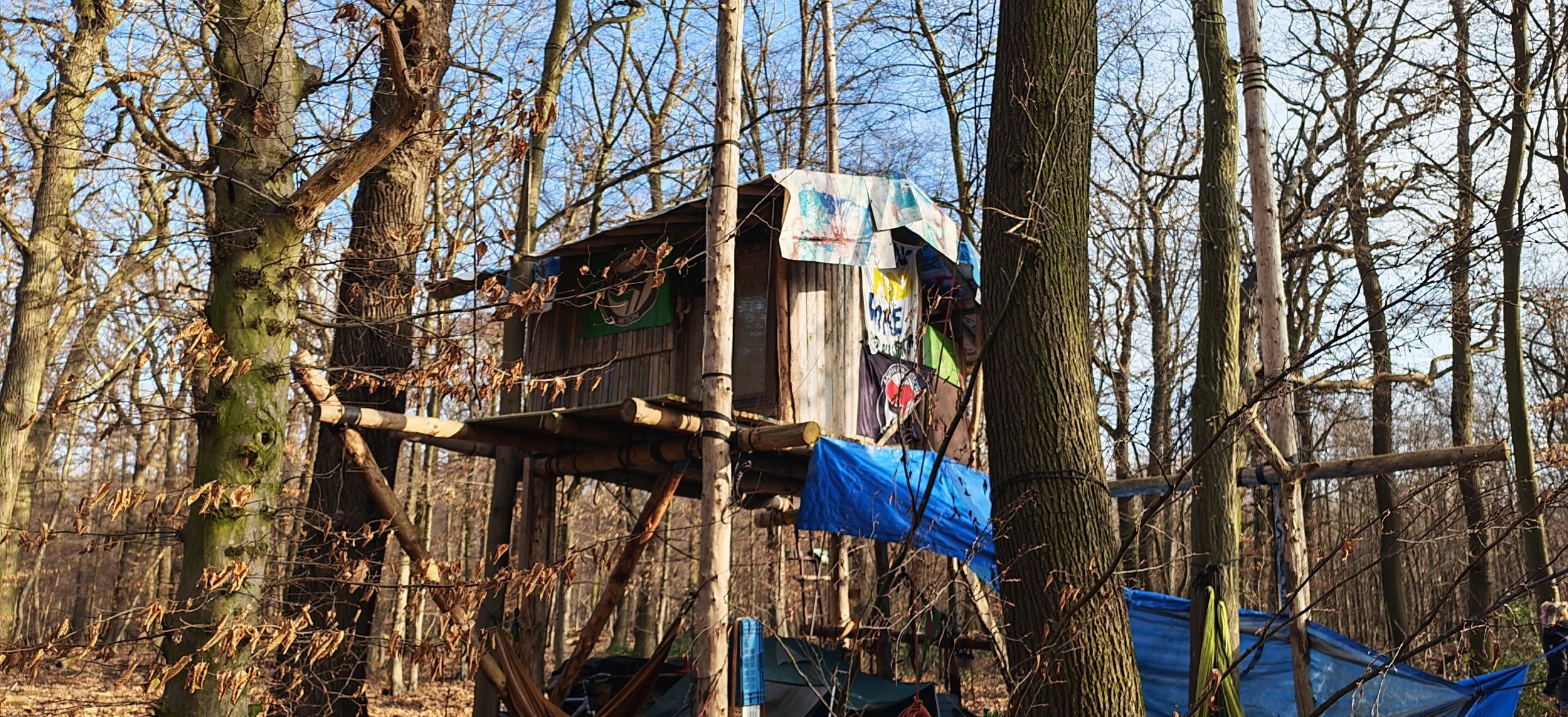 Ein selbstgebautes Baumhaus in einem Wald ohne Blätter. Das Baumhaus ist aus Holz gefertigt, mit bunten Tüchern und Flaggen, umgeben von mehreren Baumstämmen und Ästen.
