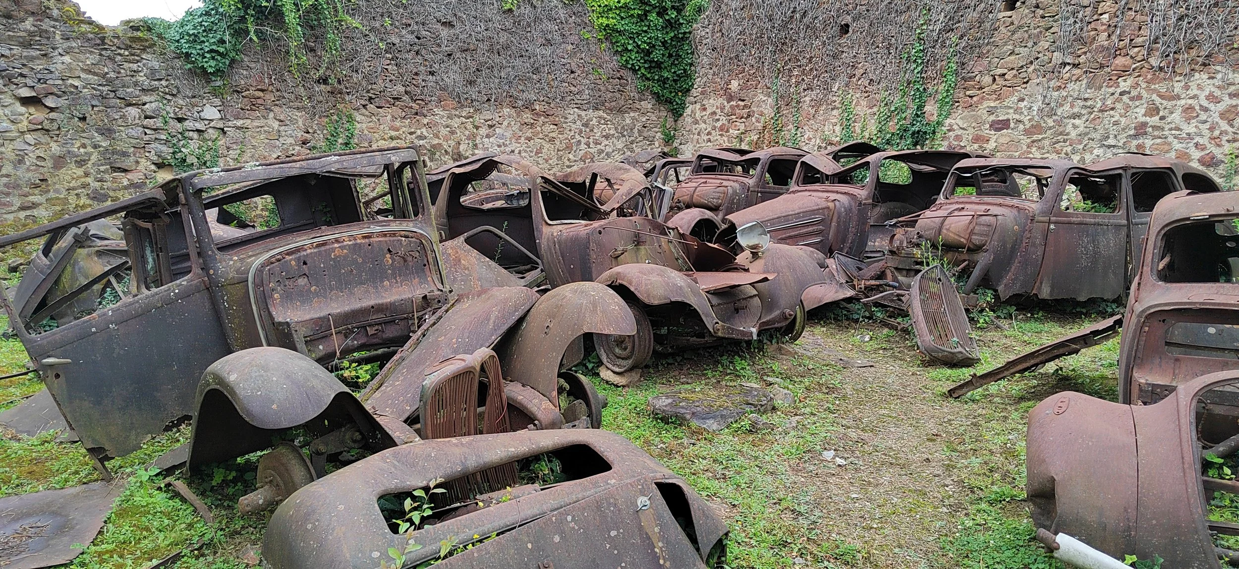 Rostige alte Autos in einem Hinterhof, überwuchert von Pflanzen, mit Steinmauer im Hintergrund.