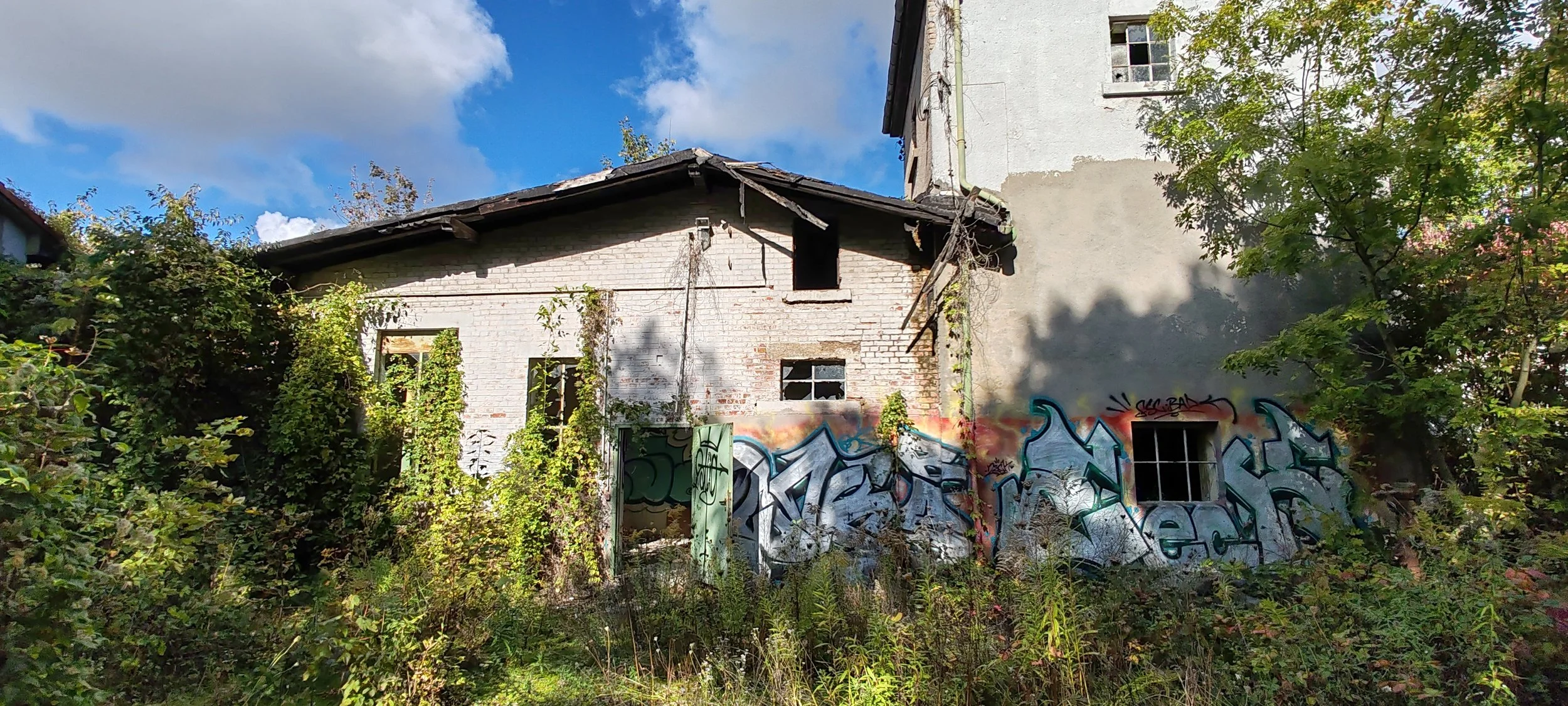 Verfallenes Mehrfamilienhaus mit Graffitis an der Wand, umgeben von dichten Büschen und Bäumen, unter blauem Himmel mit Wolken.