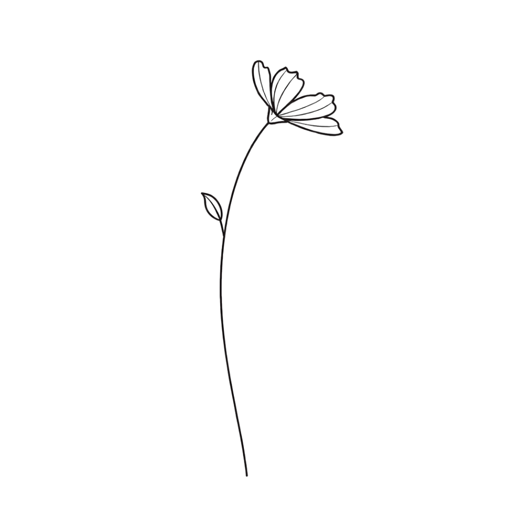 Outline drawing of a flower with a long stem, two leaves, and a single bloom at the top, on a black background.