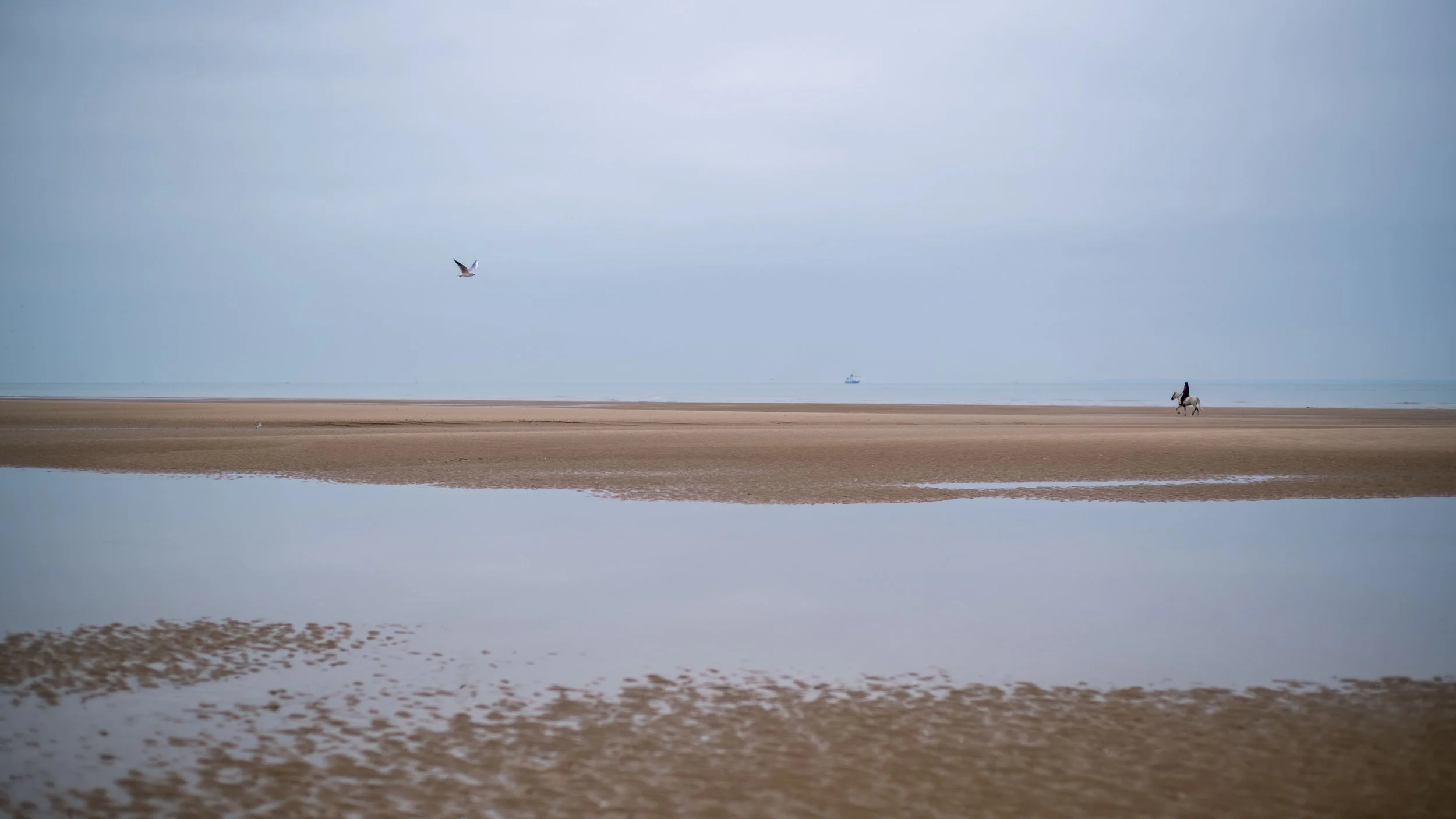 L1002977.jpg