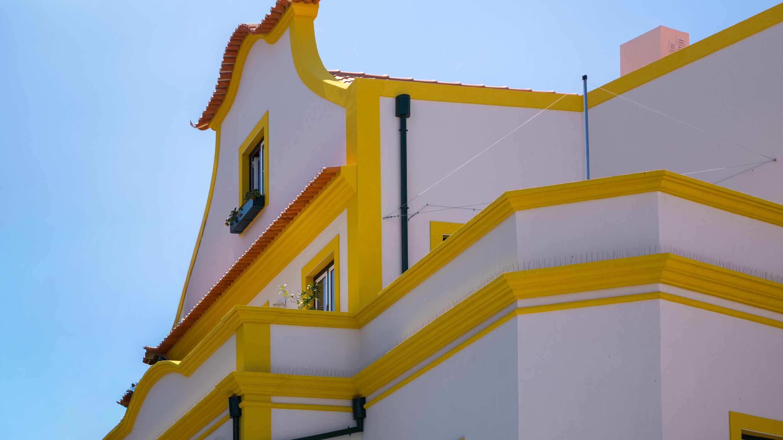 L1009276.jpg