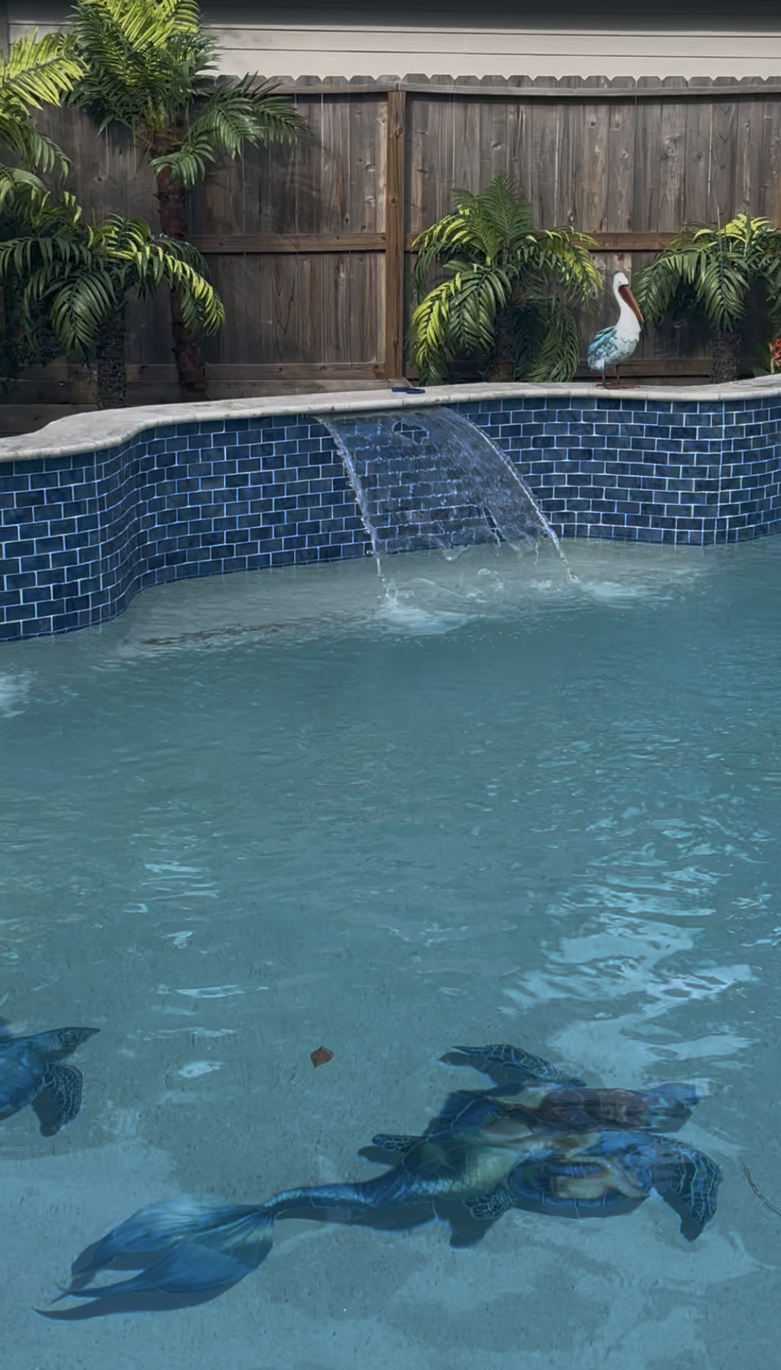 Ver fotos recientes.png