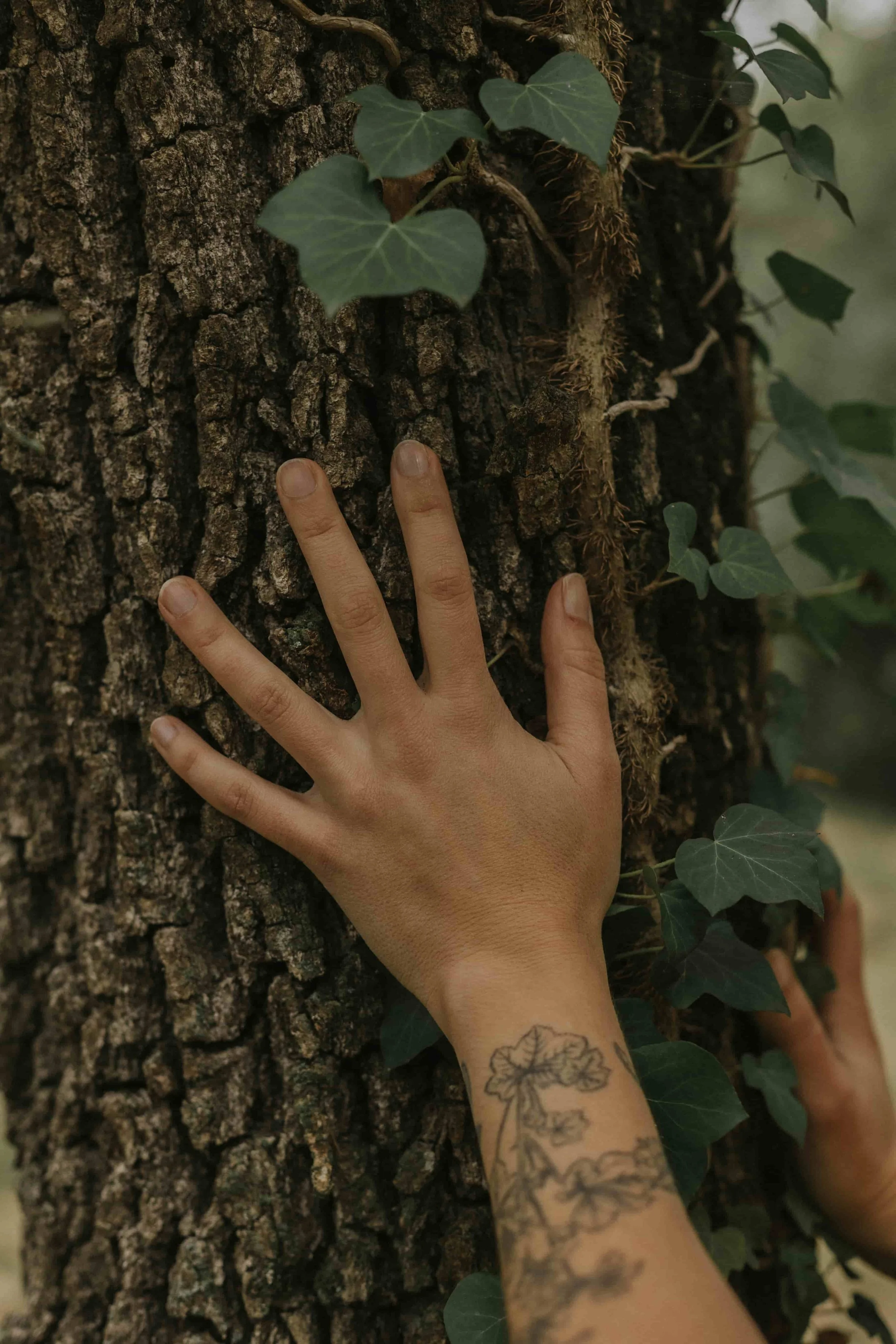 bosc endins mans marta coll autet bosc endins