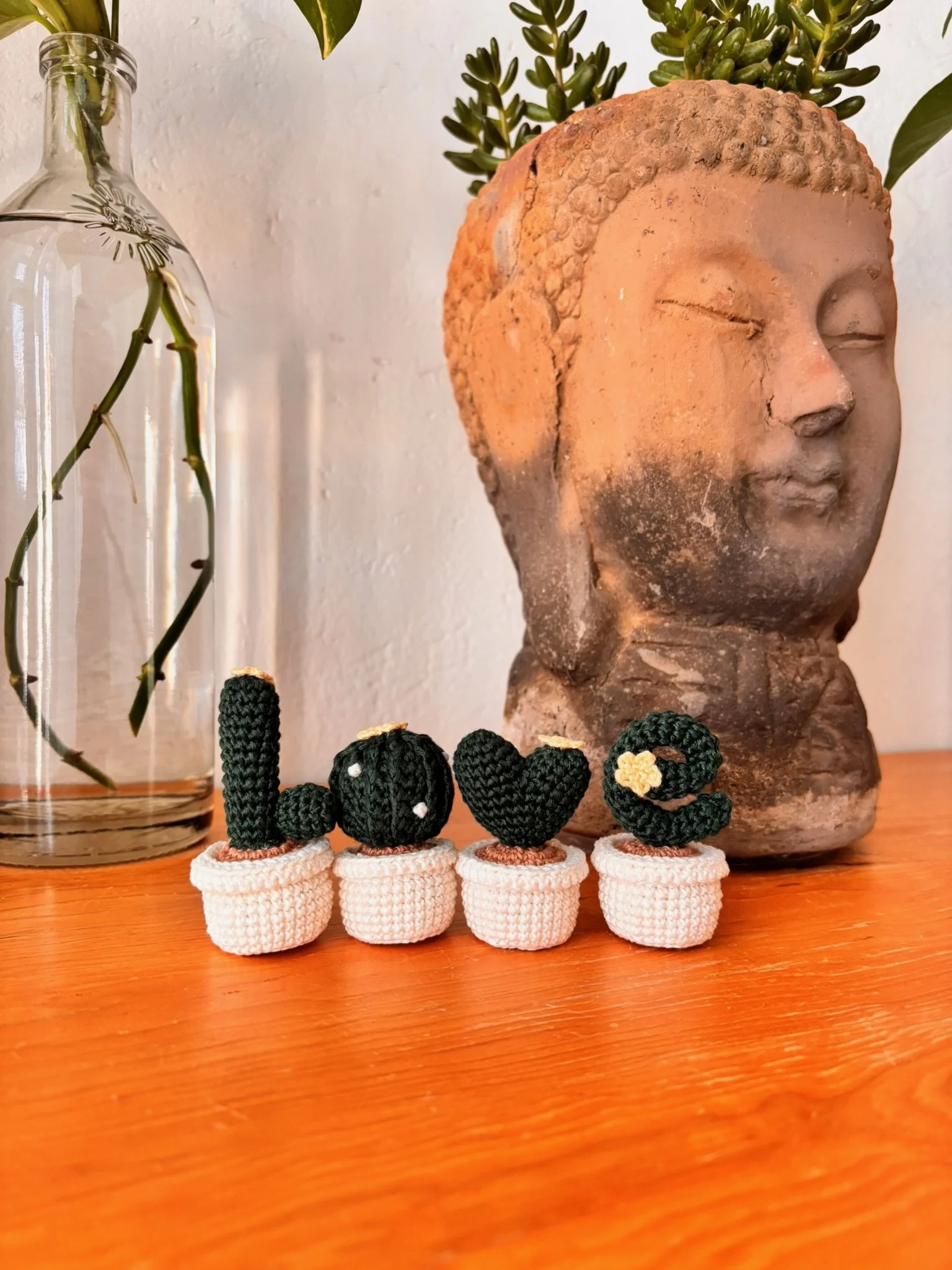 Cactus Love