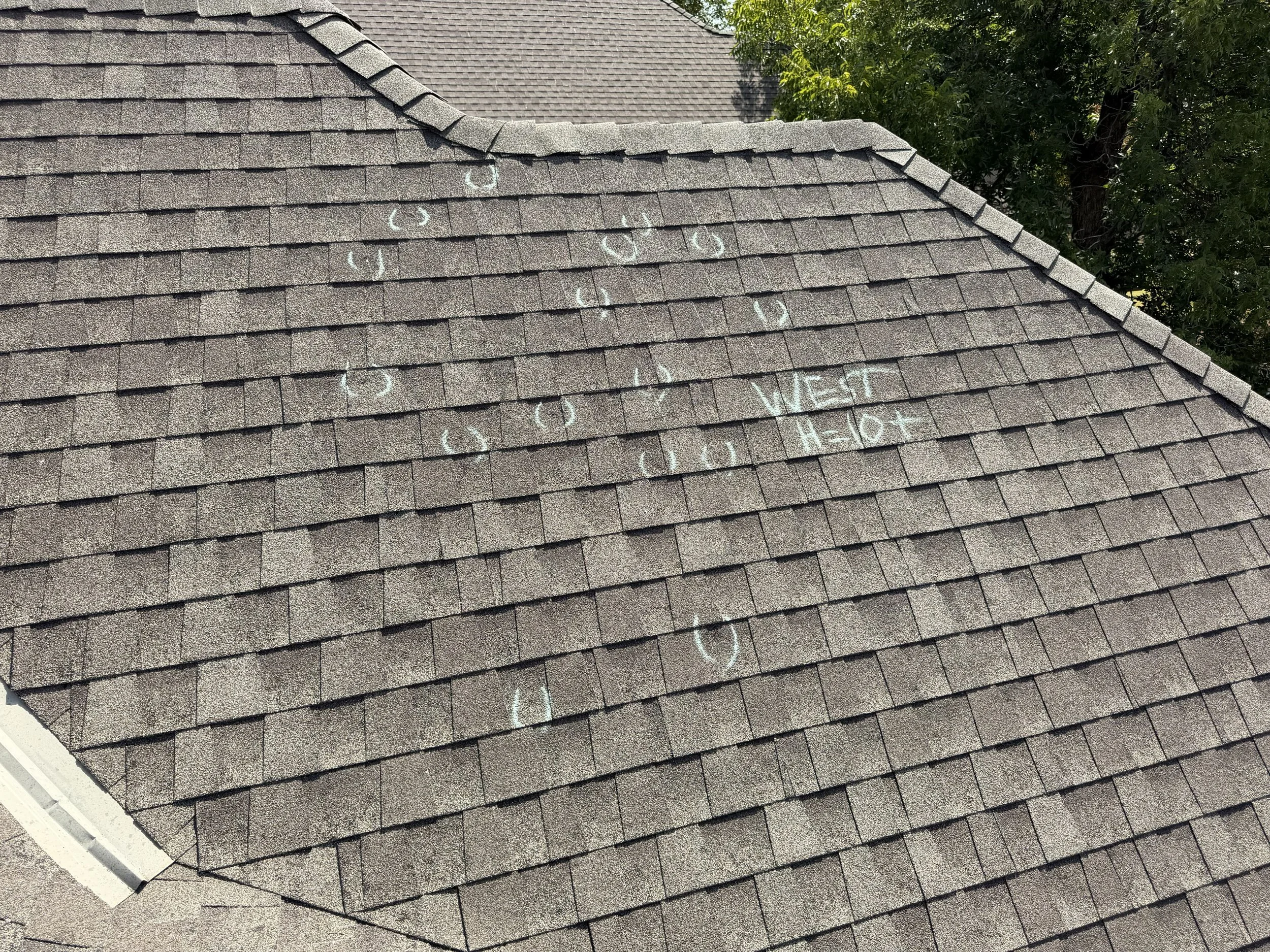 A roof with brown asphalt shingles has white chalk markings circling hail impacts to the shingles.