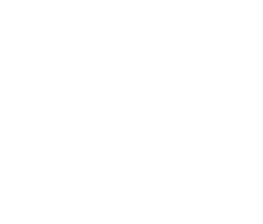 Black and white icon of a house with a roof, chimney, and windows.