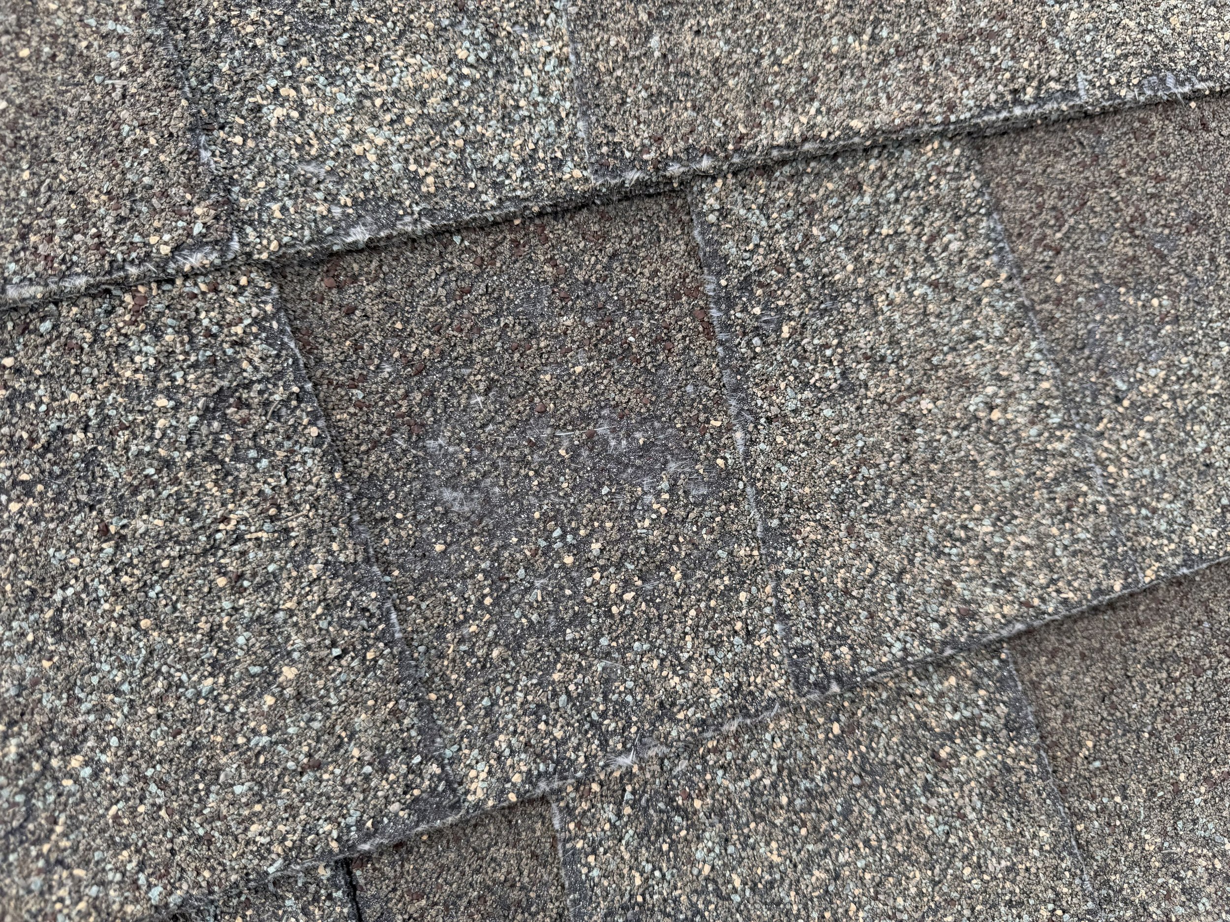 Asphalt shingle showing wear and tear.