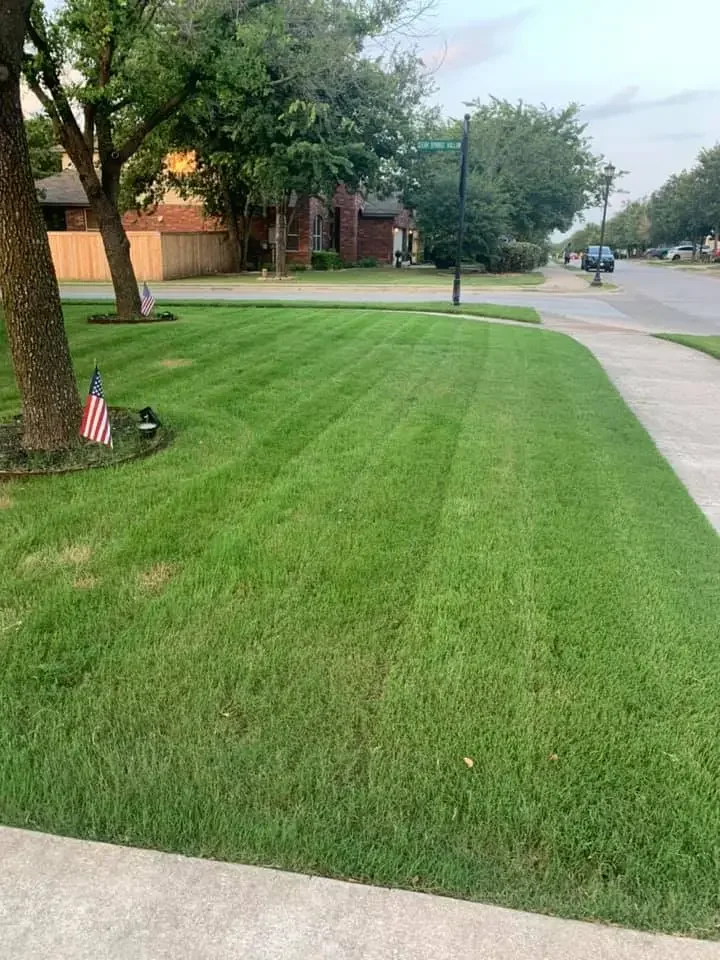 A well-maintained lawn with American flags and a small light near a tree, in front of residential houses and a street with parked cars.