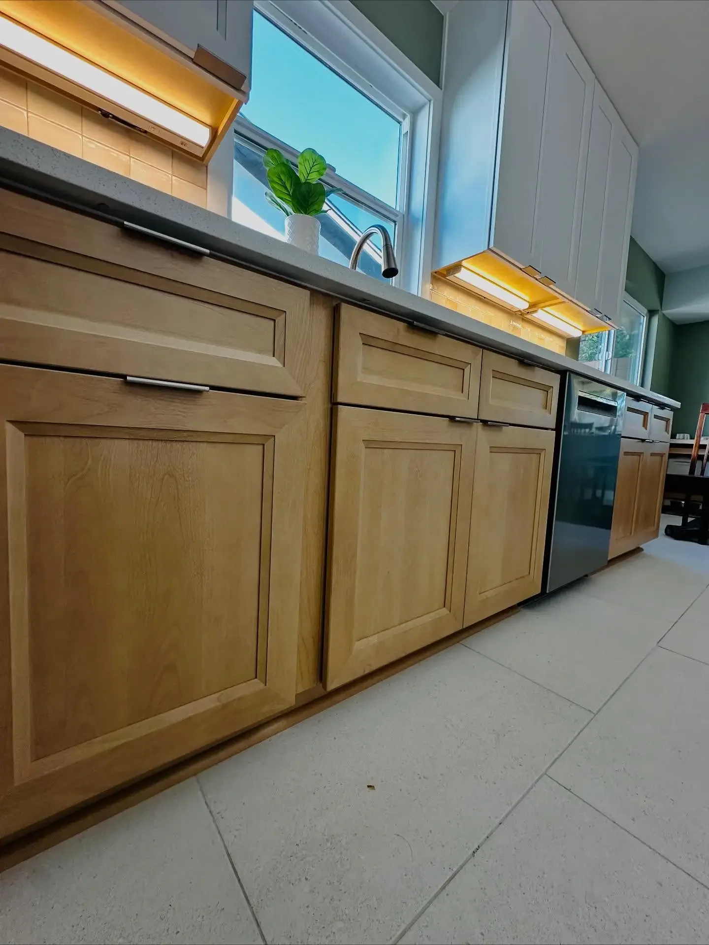 Kitchen countertop with a green potted plant near a window, wooden cabinets, a sink with a faucet, and under-cabinet lighting
