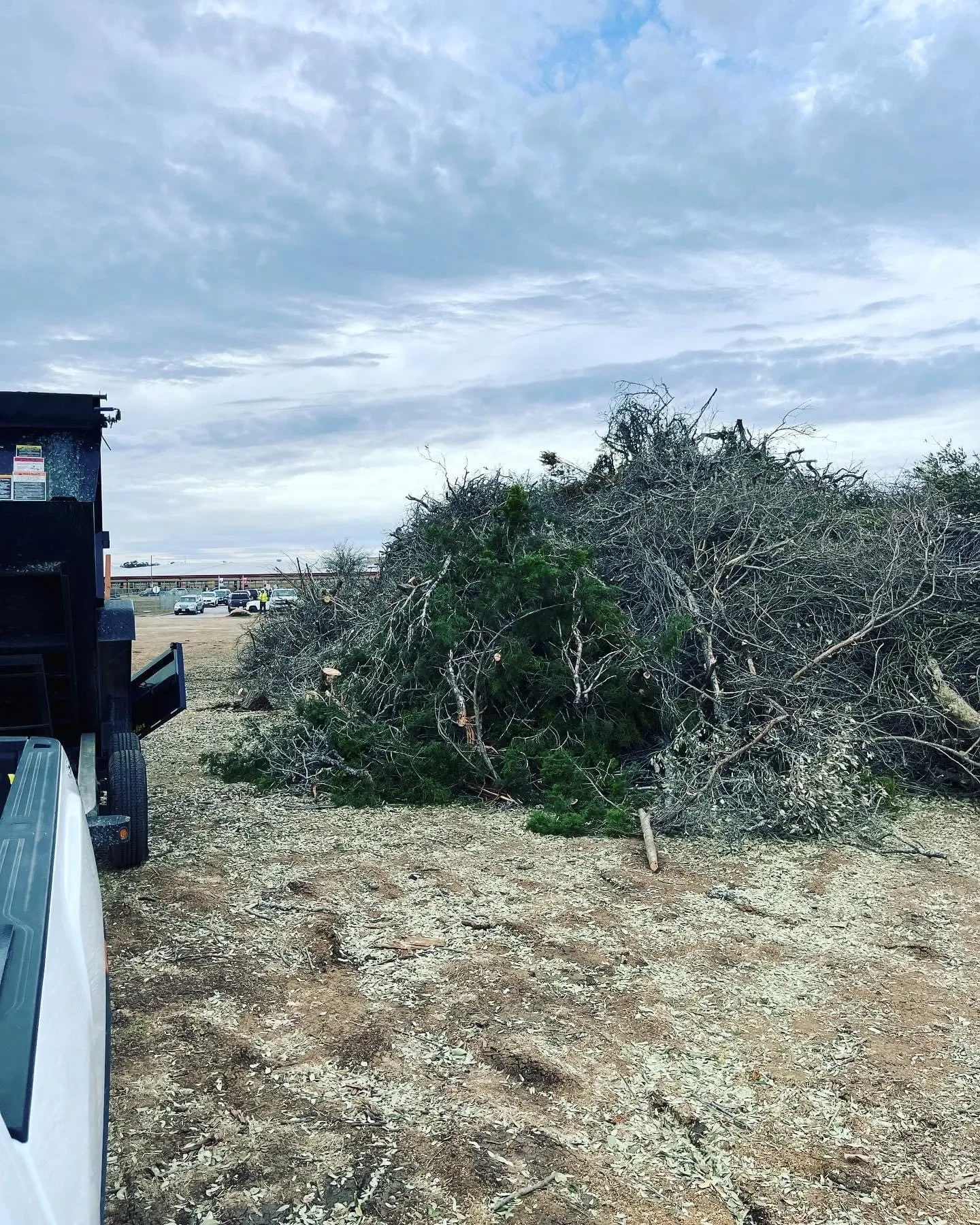 A large pile of cut tree branches and debris sits on dry, patchy ground outdoors, with a partly cloudy sky overhead. A vehicle and parked cars are visible in the background.