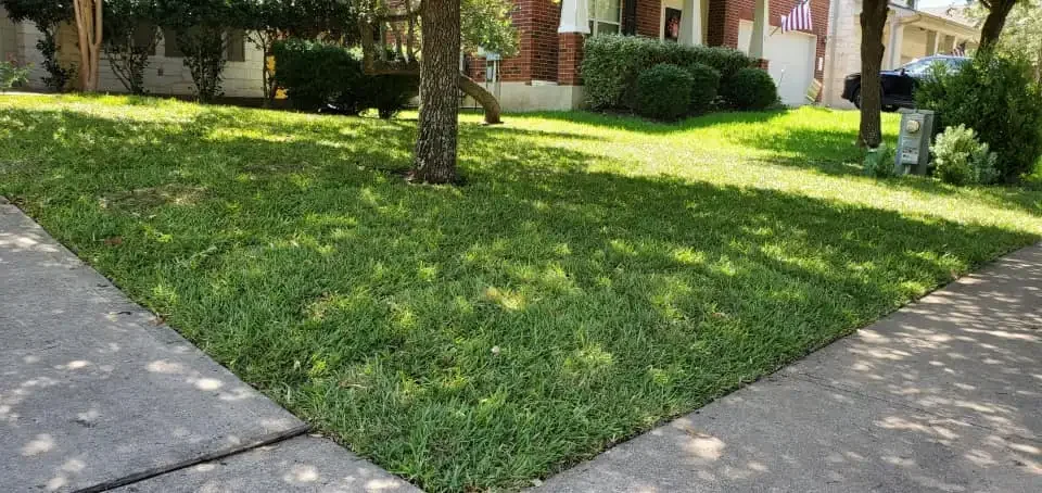 A front yard with green grass, trees, bushes, and a sidewalk in a residential neighborhood.