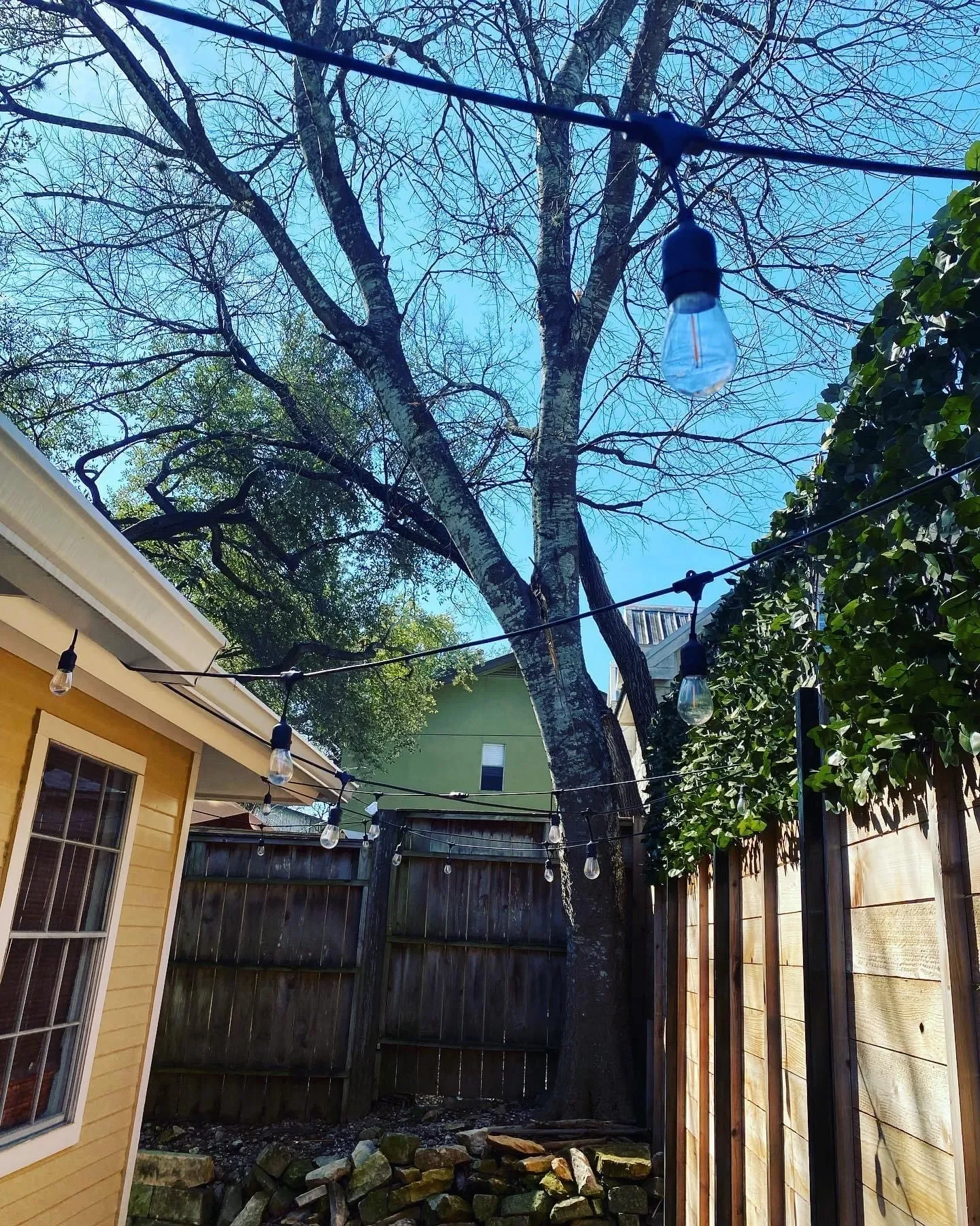 Backyard with string lights, large tree without leaves, yellow and green houses, wooden fence, and a rock garden.