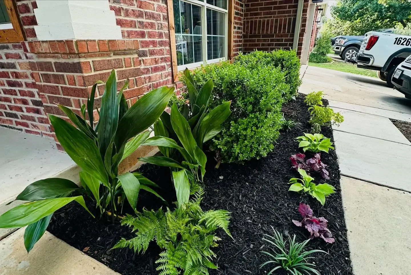 Well-maintained garden bed with various green plants and shrubs along a brick house wall near a sidewalk and parked cars.