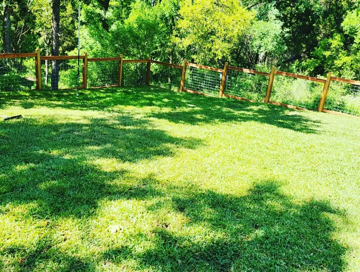 A grassy backyard with a wooden and wire fence, surrounded by trees and shaded areas.
