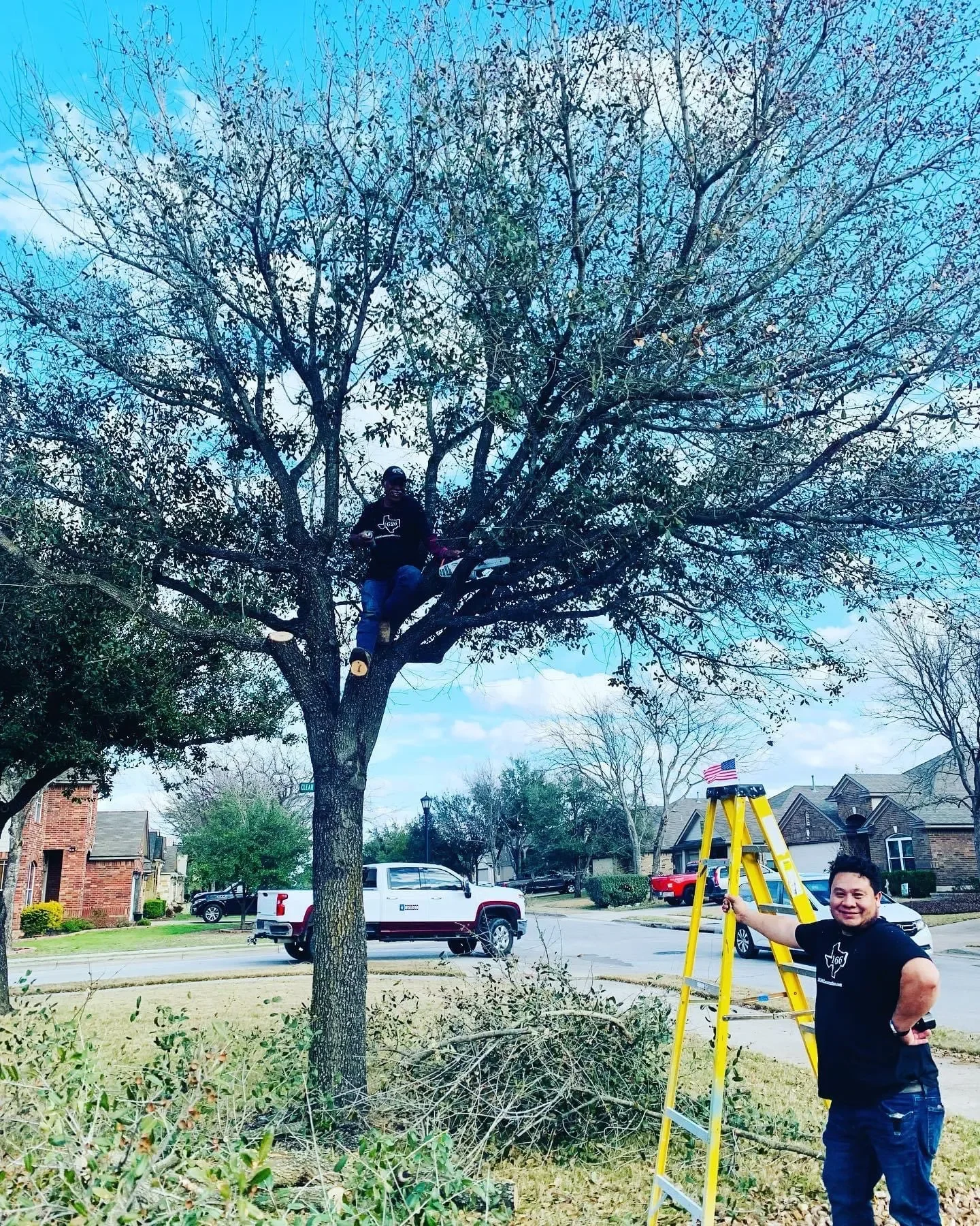 Two men are trimming a large tree in a residential neighborhood; one man is in the tree with pruning tools, and the other is standing on the ground next to a yellow ladder, smiling at the camera.