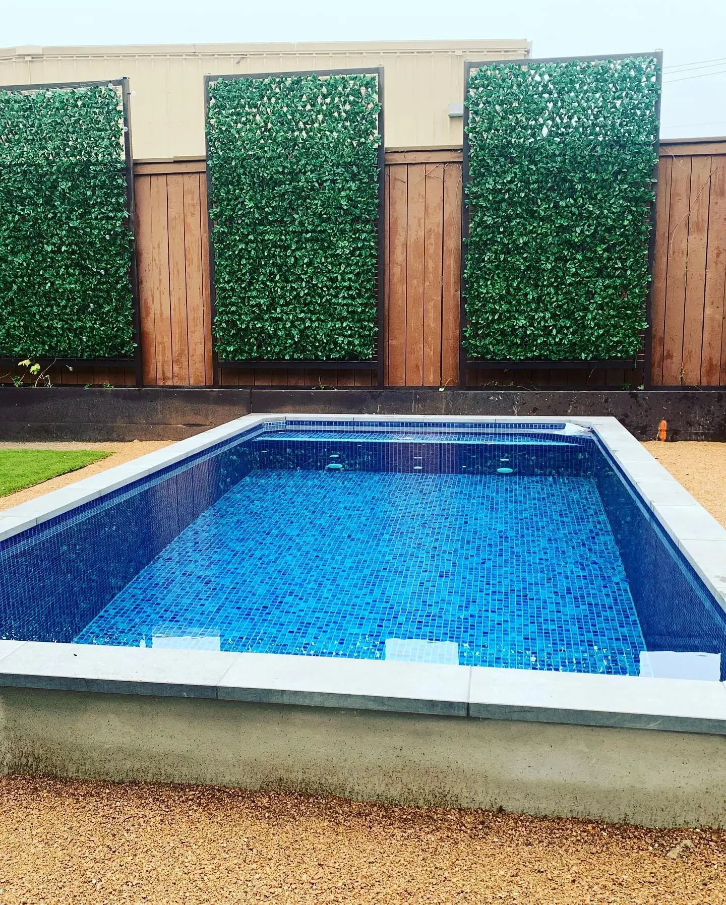 Empty backyard swimming pool with blue tile interior, surrounded by pavement, with a wooden privacy fence and green decorative bushes on panels in the background.