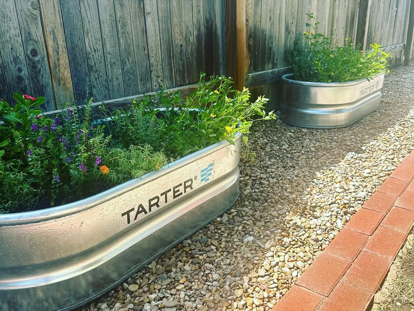 Two elevated metal planters labeled 'TARTER', filled with colorful flowers and greenery, placed along a gravel path with a wooden fence in the background.
