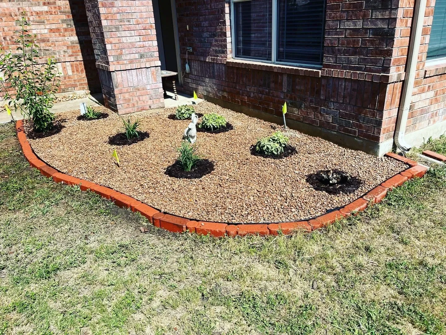A landscaped garden bed with small plants, a decorative rabbit statue, and a brick border adjacent to a brick house wall with windows.