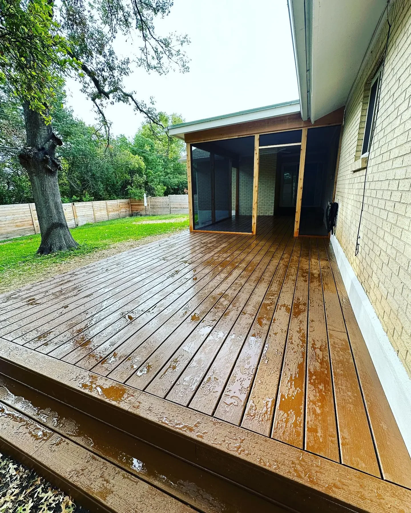 A newly stained wooden deck attached to a house, with some water droplets on the surface and a backyard with grass, a large tree, and a wooden fence in the background.