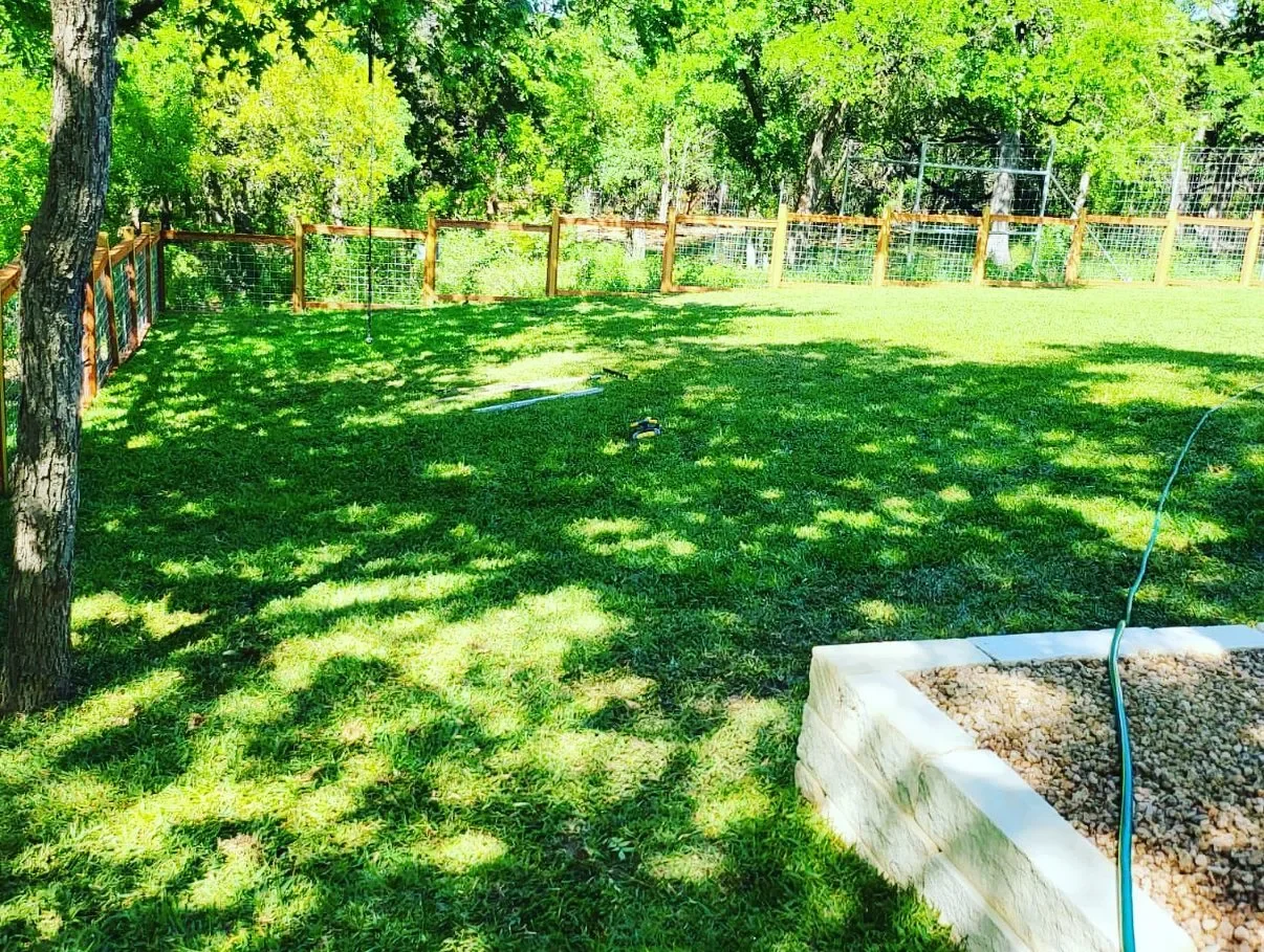 A backyard with green grass, trees, a wooden and wire fence, and a raised planter with gravel and a garden hose.