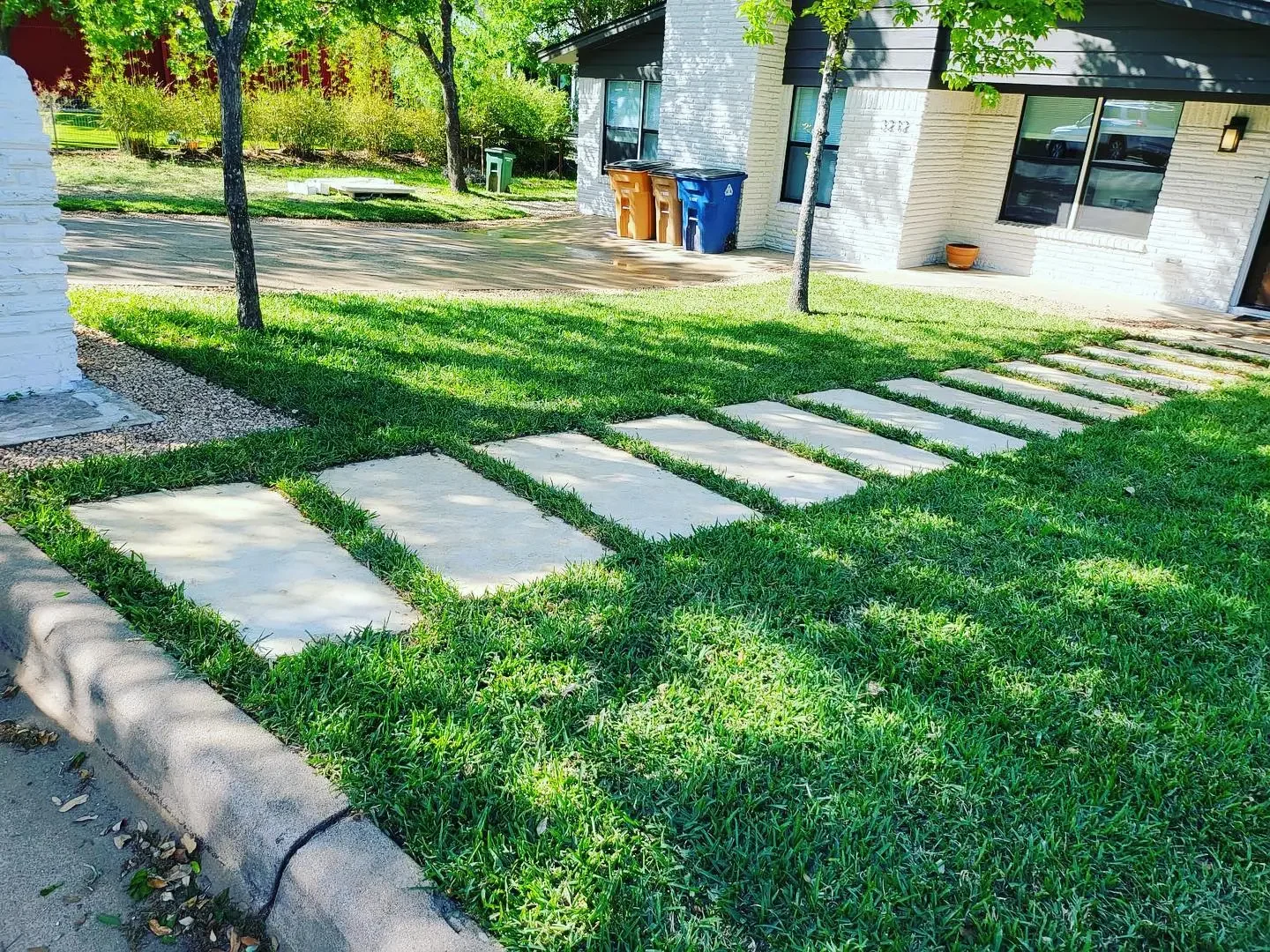 A residential front yard with a concrete pathway made of rectangular slabs surrounded by grass. There are two trees casting shadows over the grass, nearby houses, and a few trash bins near the house.