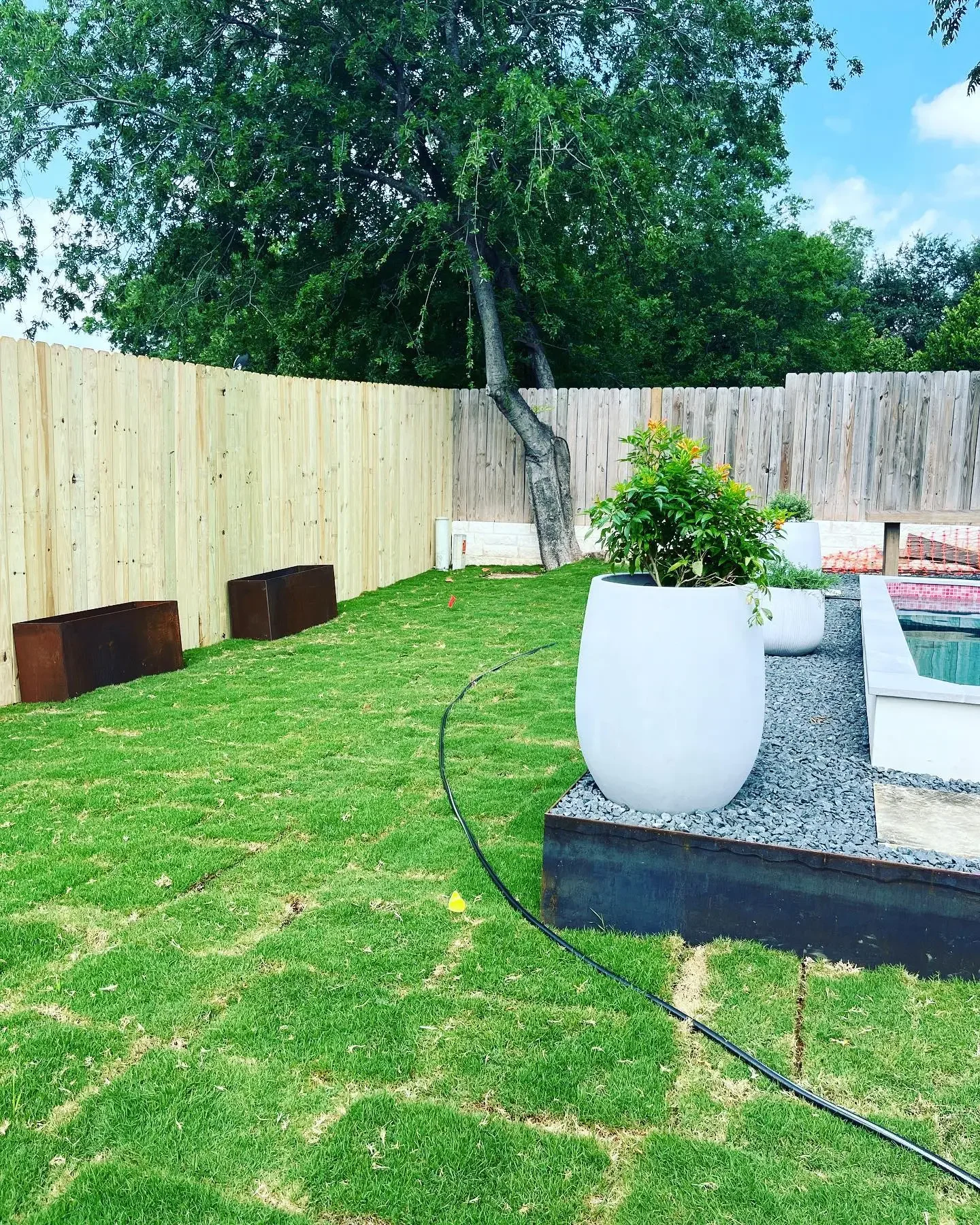 A backyard with green grass, potted plants in large white planters, a tree leaning over a wooden fence, and a small pool on the right side.