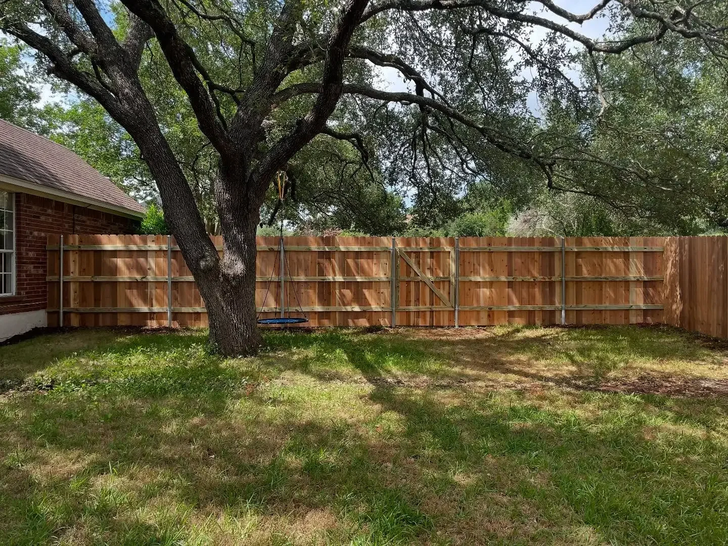 Backyard with grass, a large tree, a wooden fence, and a swing hanging from the tree.