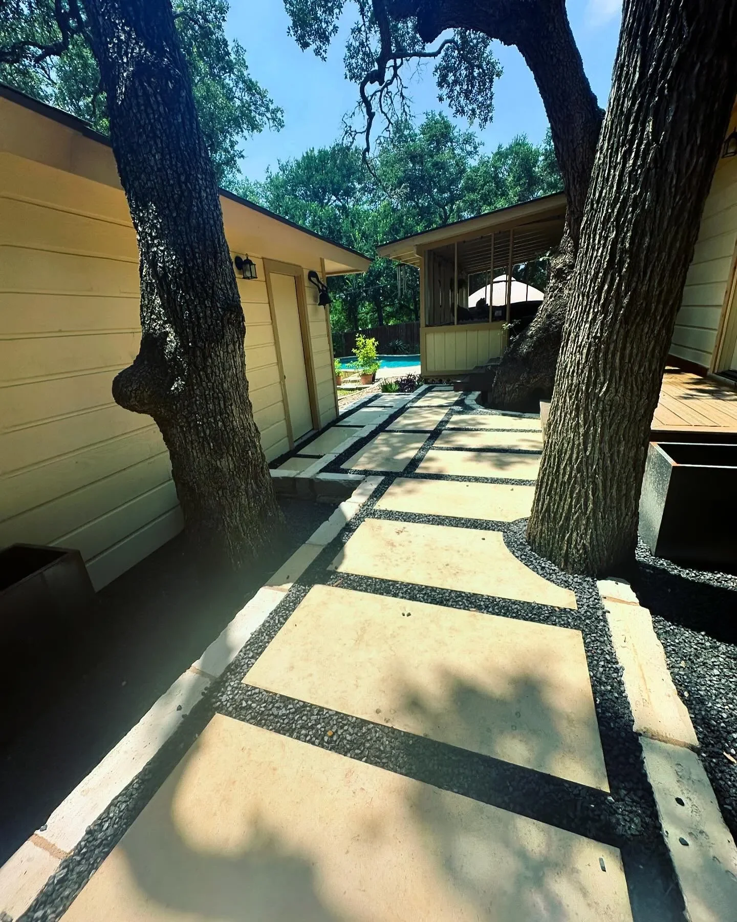 A backyard patio with a paved walkway, two large trees growing through the pathway, and a screened porch in the background, adjacent to a house with yellow siding.