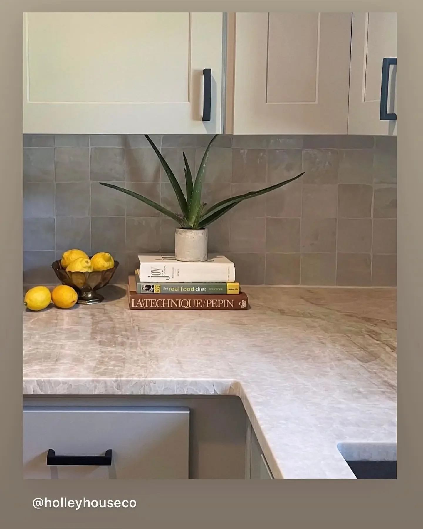 Decorative kitchen countertop with a potted aloe vera plant, a bowl of lemons, and a stack of books against a tiled backsplash.