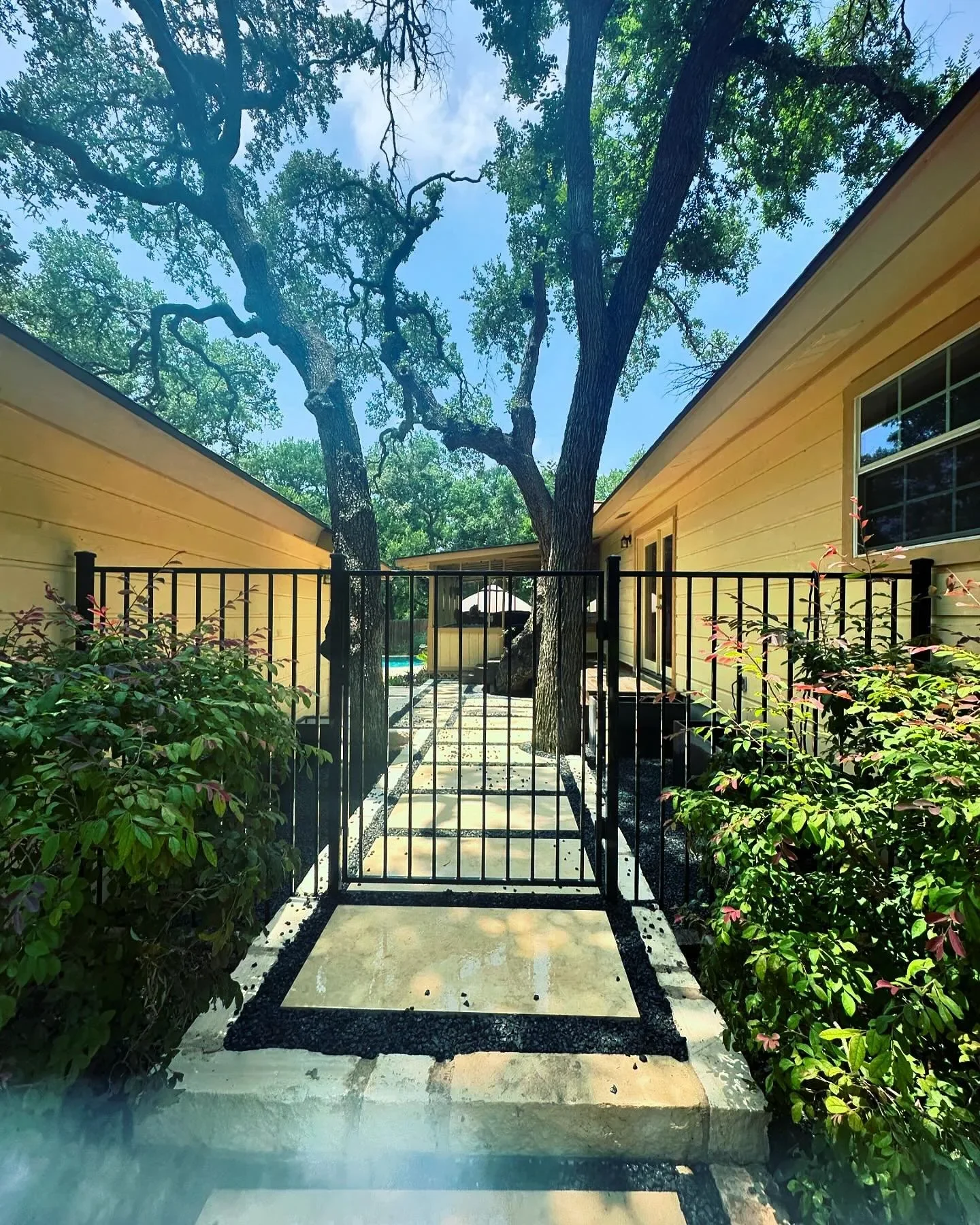 A pathway with several beige stone tiles bordered with black gravel, leading through a black metal gate between yellow house walls, with two large trees in the center and bushes on either side, under a bright blue sky.
