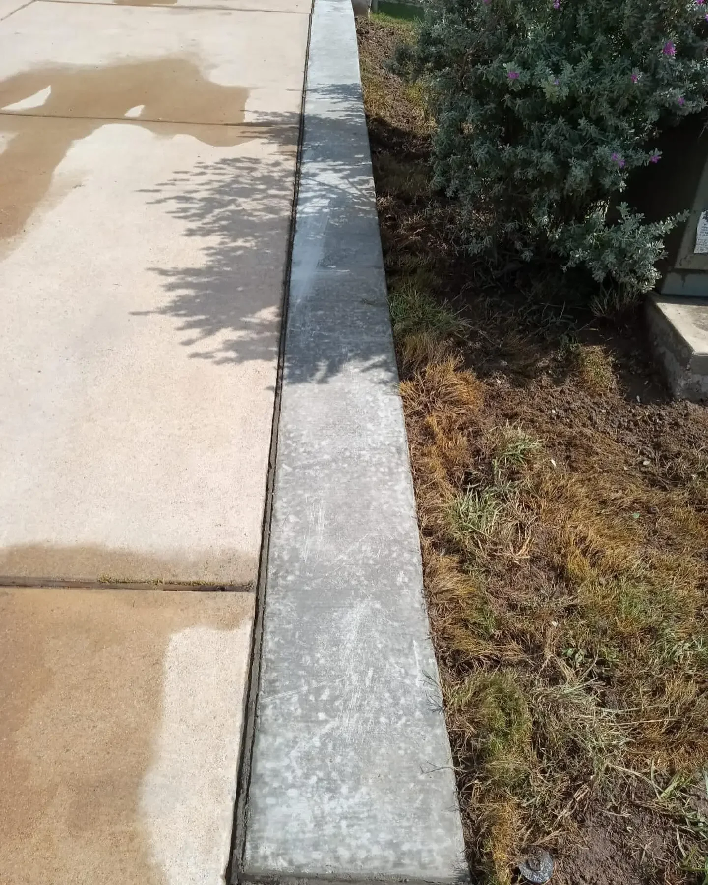 Concrete sidewalk with a metal edge bordering a landscaped area with bushes and dry grass.