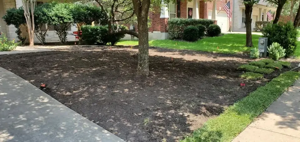 A freshly mulched patch of yard with a tree in the middle, surrounded by green grass and adjacent to a concrete sidewalk in a residential neighborhood.